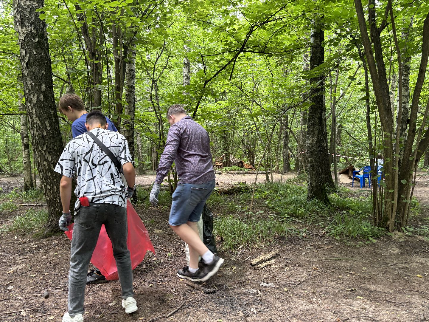 Горенский лесопарк, экология, чистые игры,