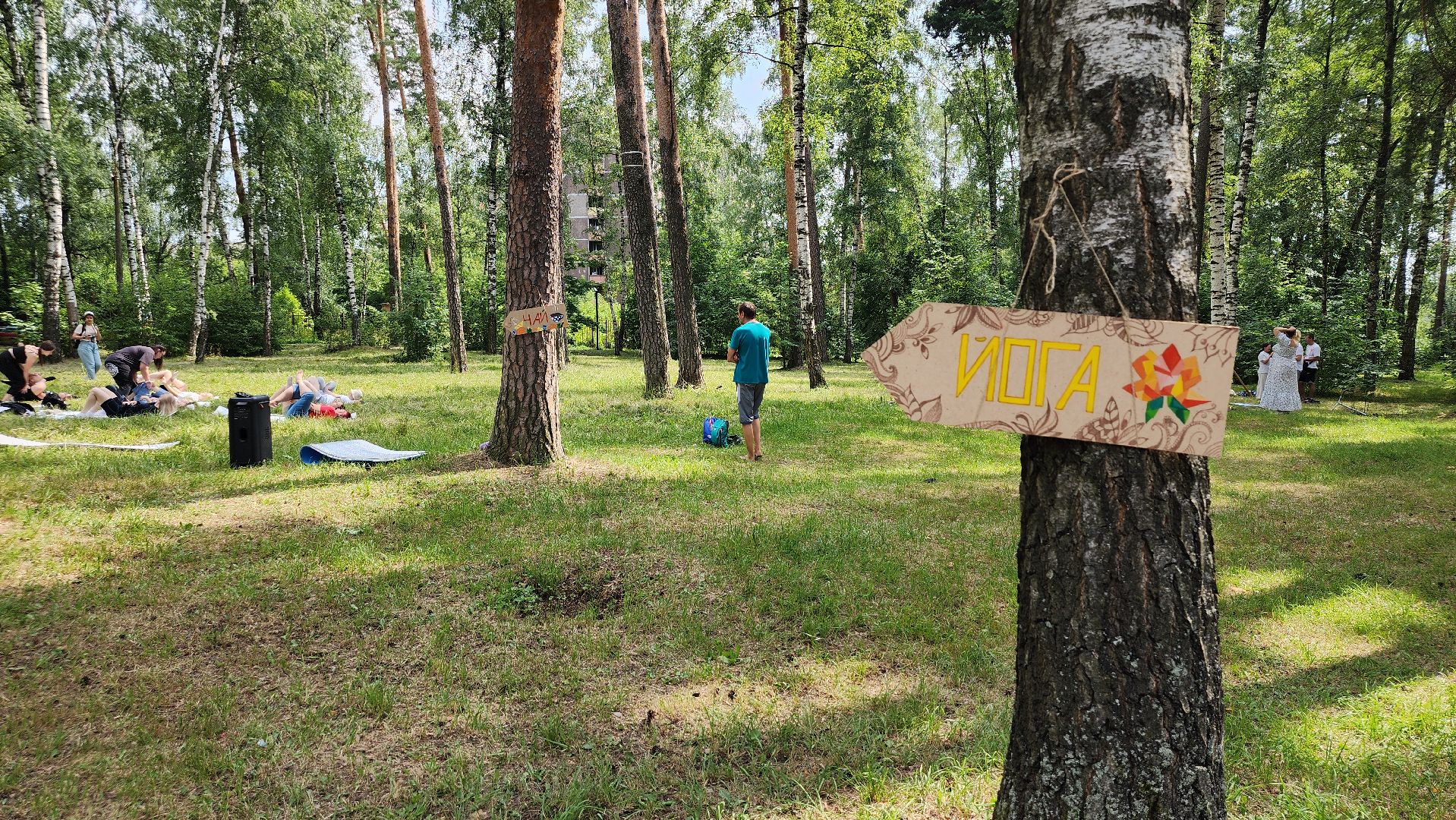 ЗОЖ-фестиваль, молодежный фестиваль, фестиваль здорового образа жизни, Ногинск, Богородский городской округ,
