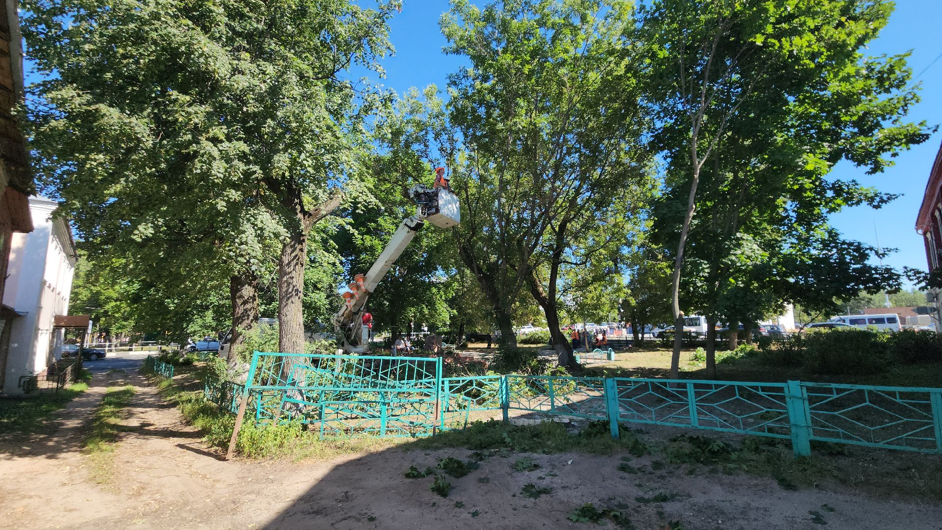 егорьевск, сквер, опил деревьев, опиловка, благоустойство,