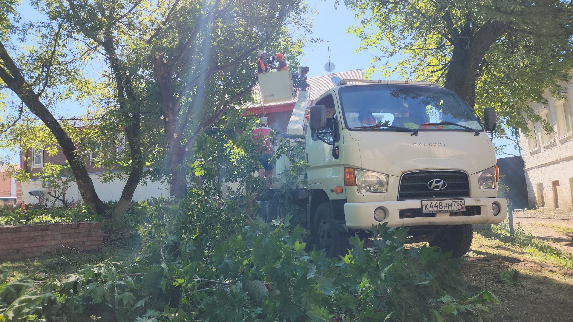 егорьевск, сквер, опил деревьев, опиловка, благоустойство,
