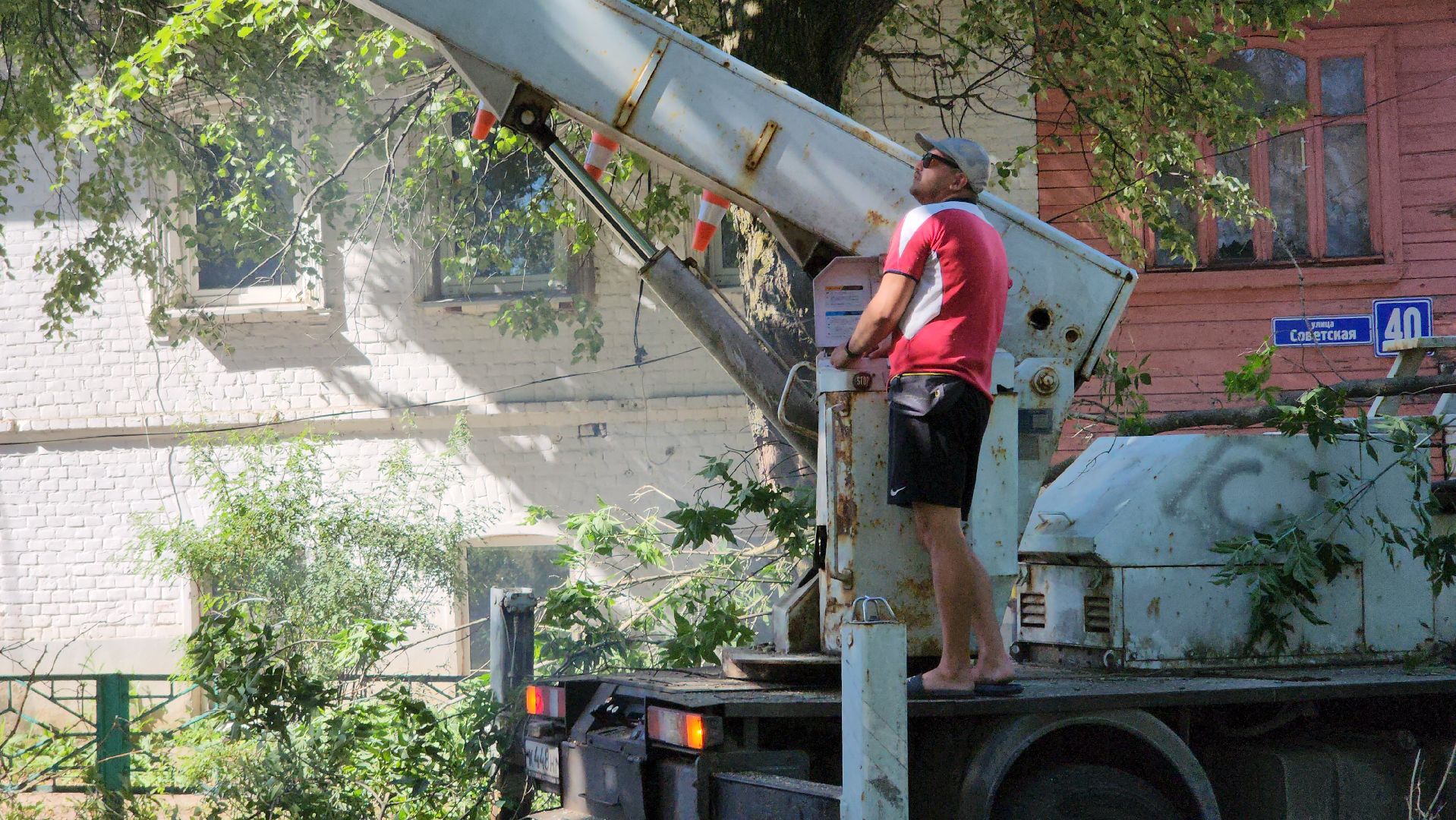 егорьевск, сквер, опил деревьев, опиловка, благоустойство,