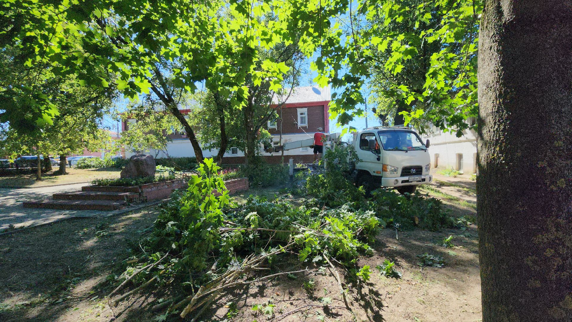 егорьевск, сквер, опил деревьев, опиловка, благоустойство,