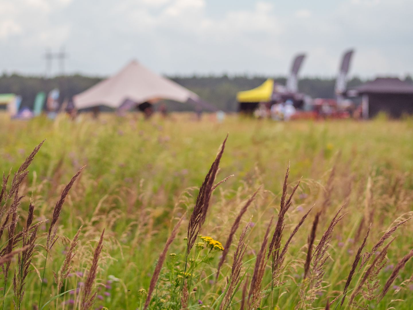 подмоксовье, велогонки, спорт,