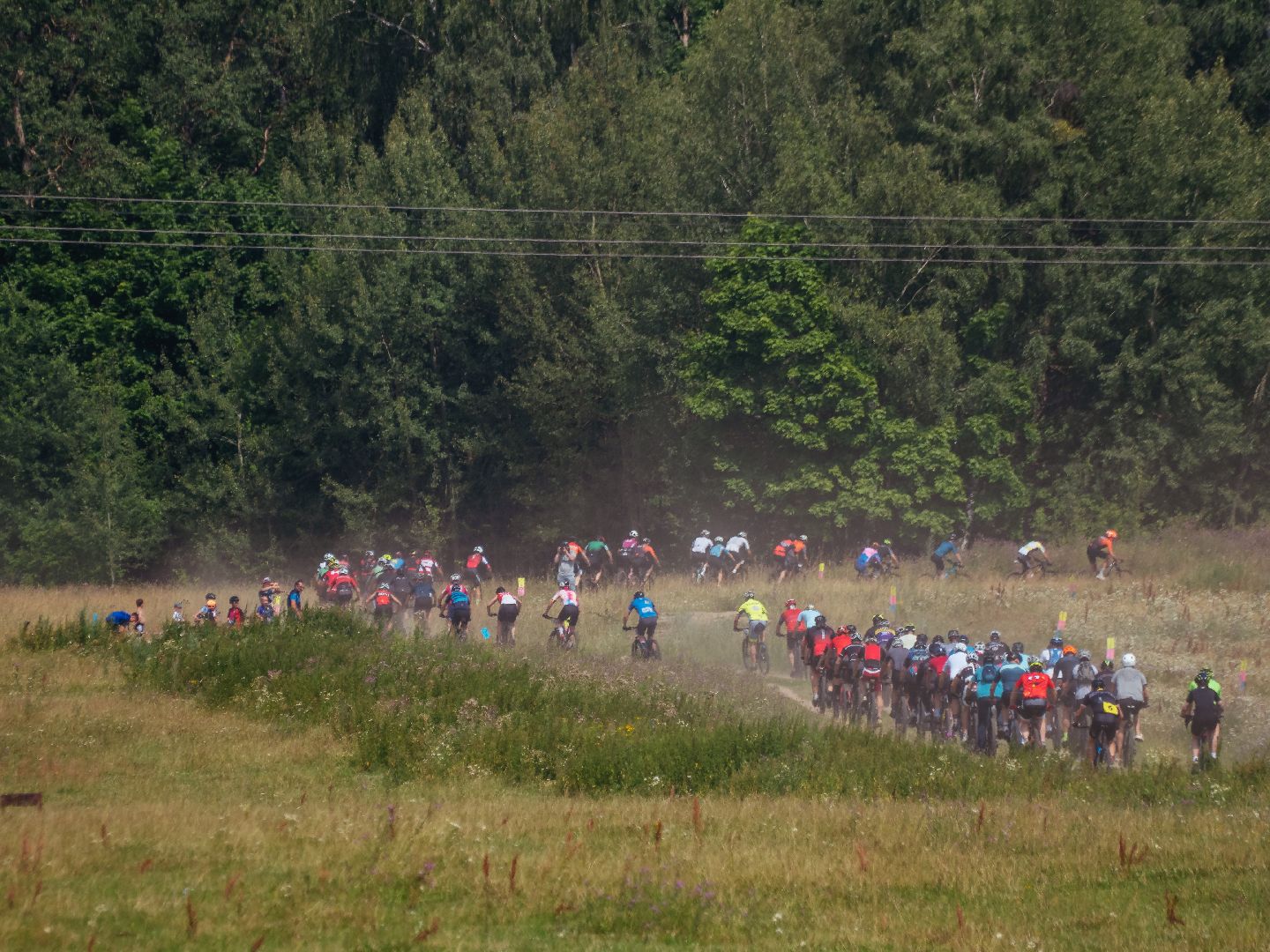 подмоксовье, велогонки, спорт,