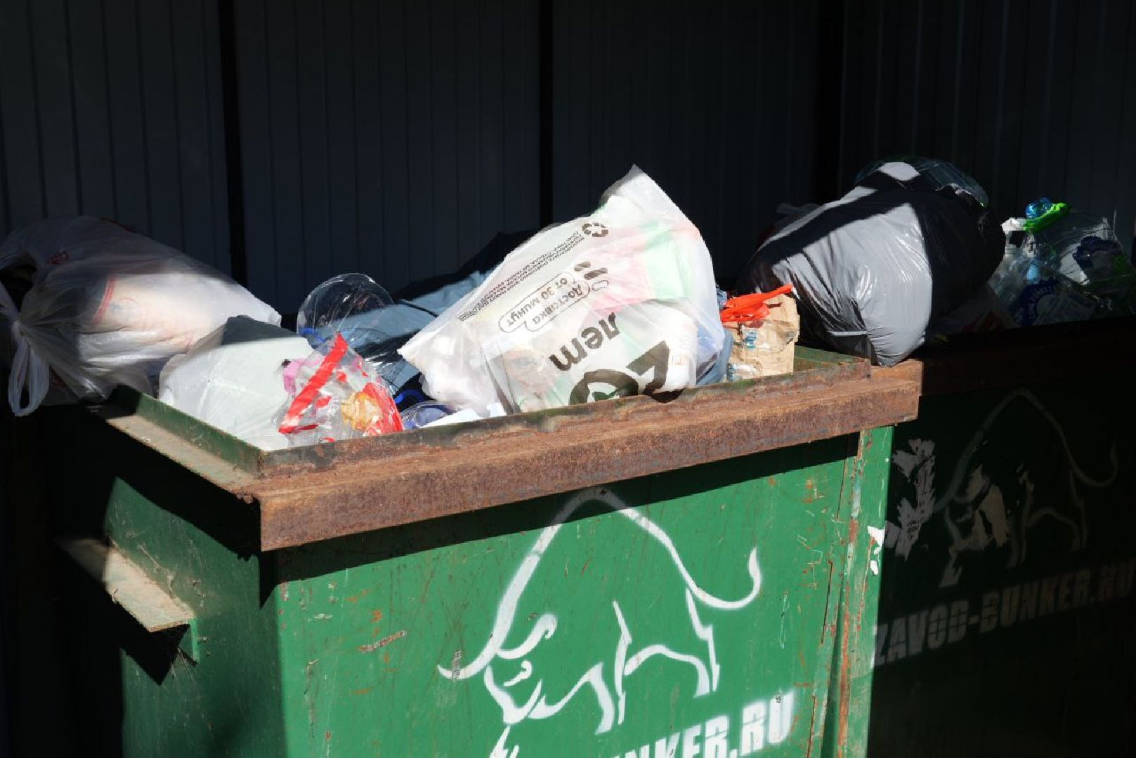 СНТ, Дачники, Экология, Вывоз мусора, Регоператор,