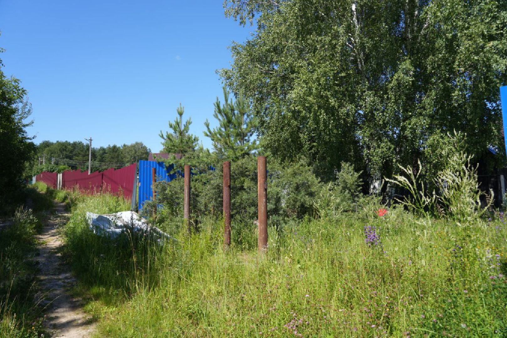 СНТ, Дачники, Экология, Вывоз мусора, Регоператор,