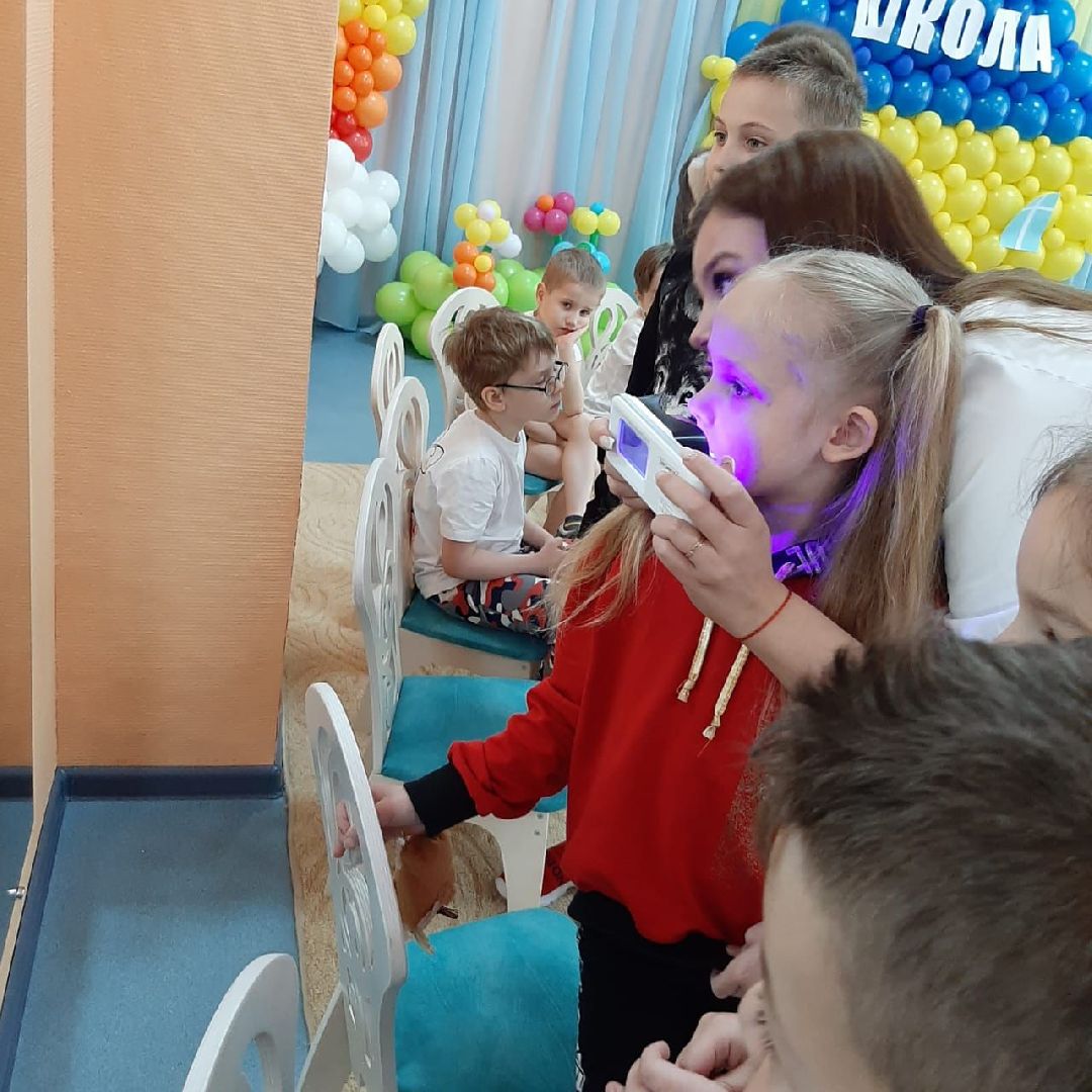 Балашиха, общество