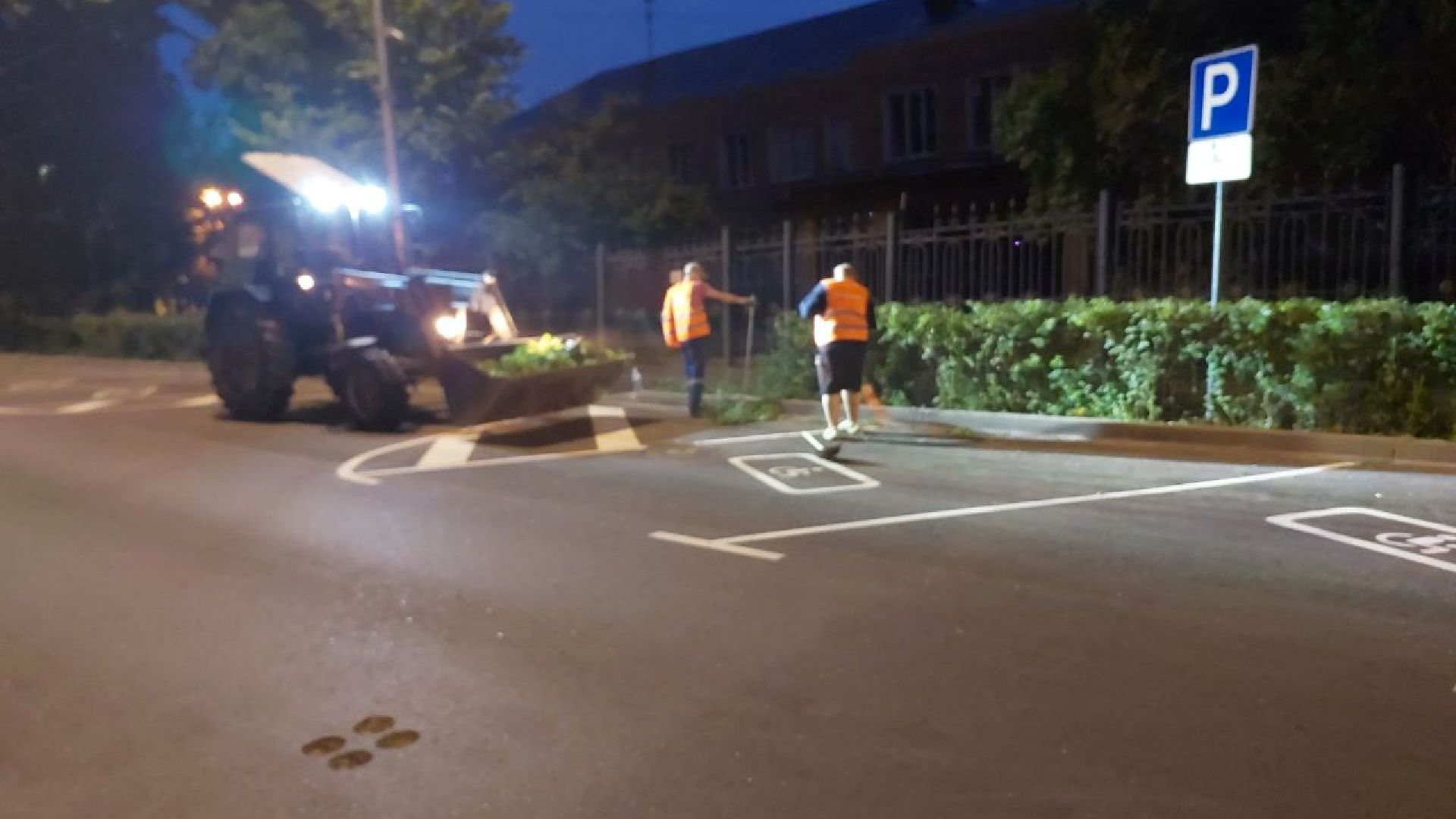 пушкино, обрезка деревьев, благоустройство, стрижка, жара,