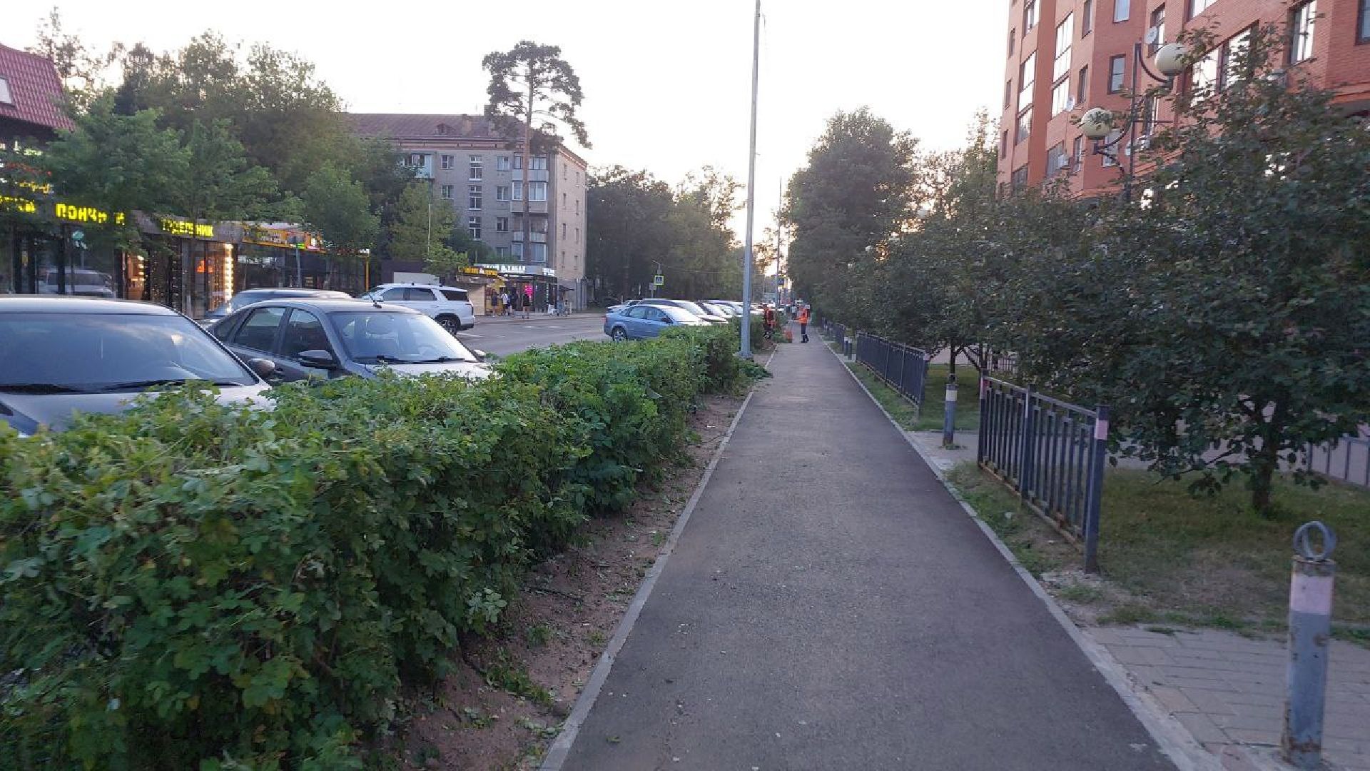 пушкино, обрезка деревьев, благоустройство, стрижка, жара,