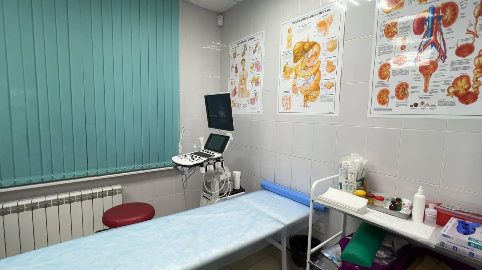 химки, экономика, малый бизнес, предпринимательство, меры поддержки, медцентр,