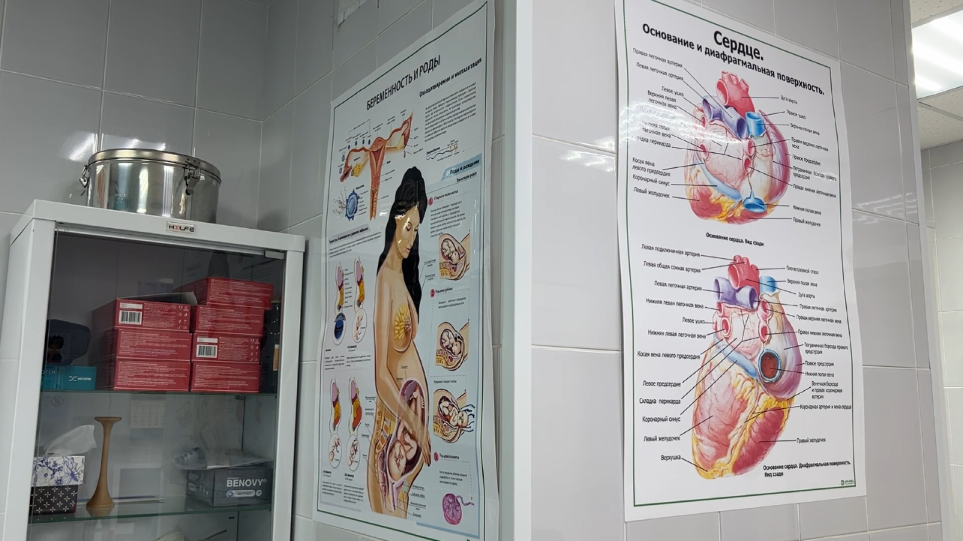 химки, экономика, малый бизнес, предпринимательство, меры поддержки, медцентр,