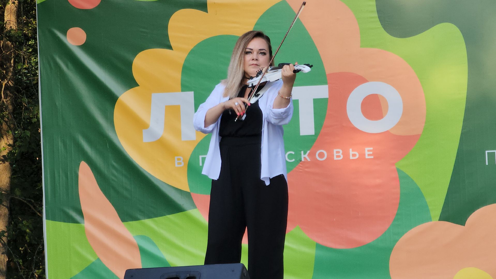 ступино, культурный код подмосковья, культура подмосковья,