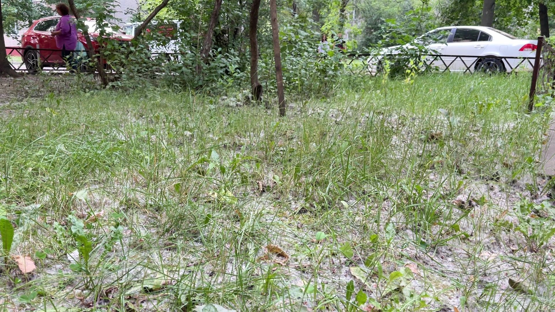 Реутов, тополиный пух, погода, жара, лето, снег летом,