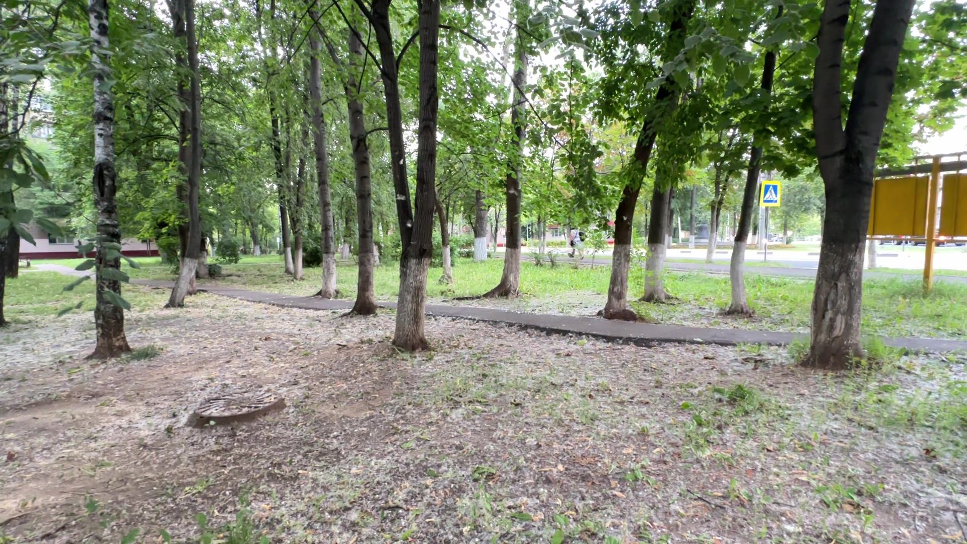 Реутов, тополиный пух, погода, жара, лето, снег летом,