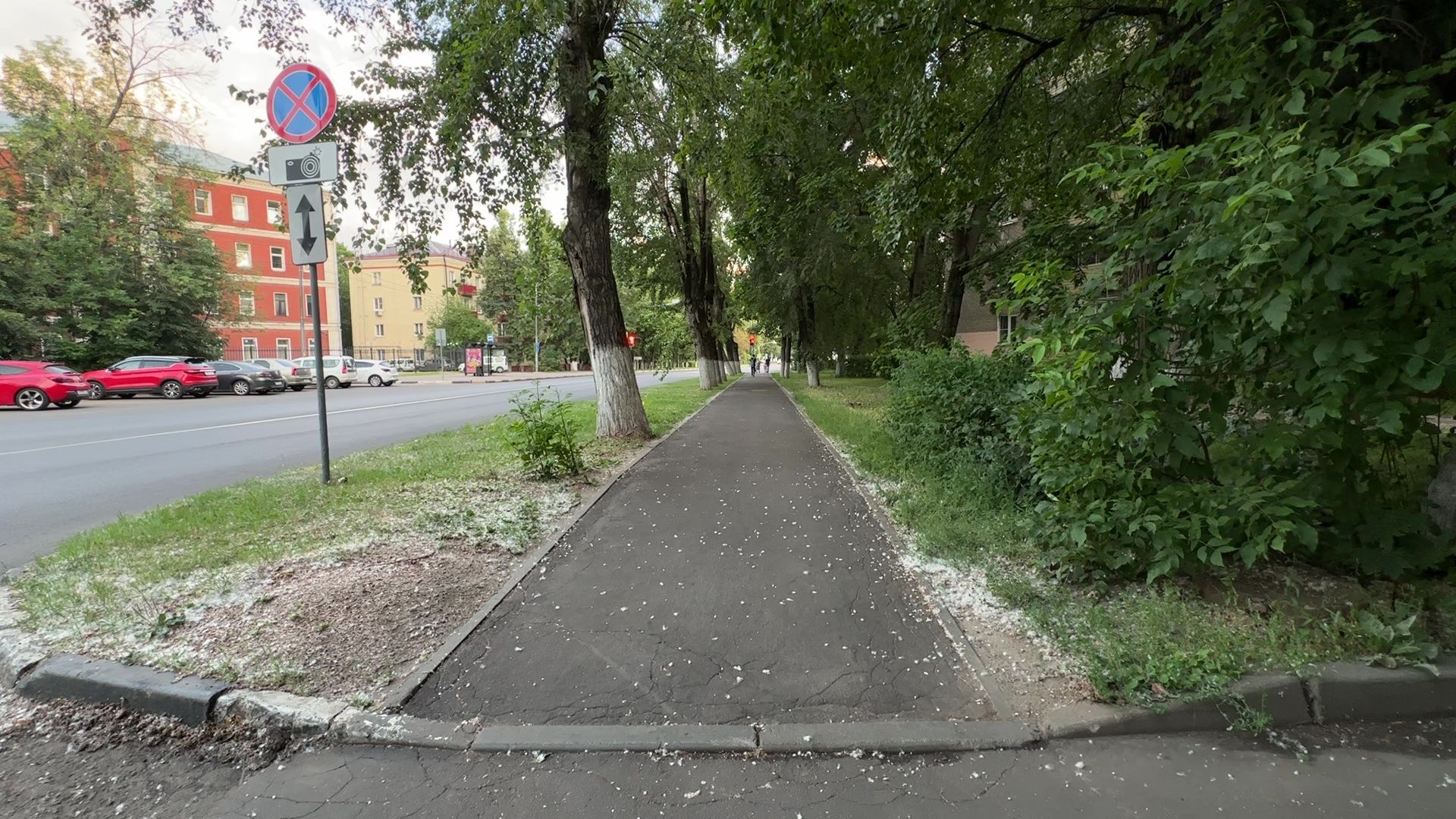 Реутов, тополиный пух, погода, жара, лето, снег летом,