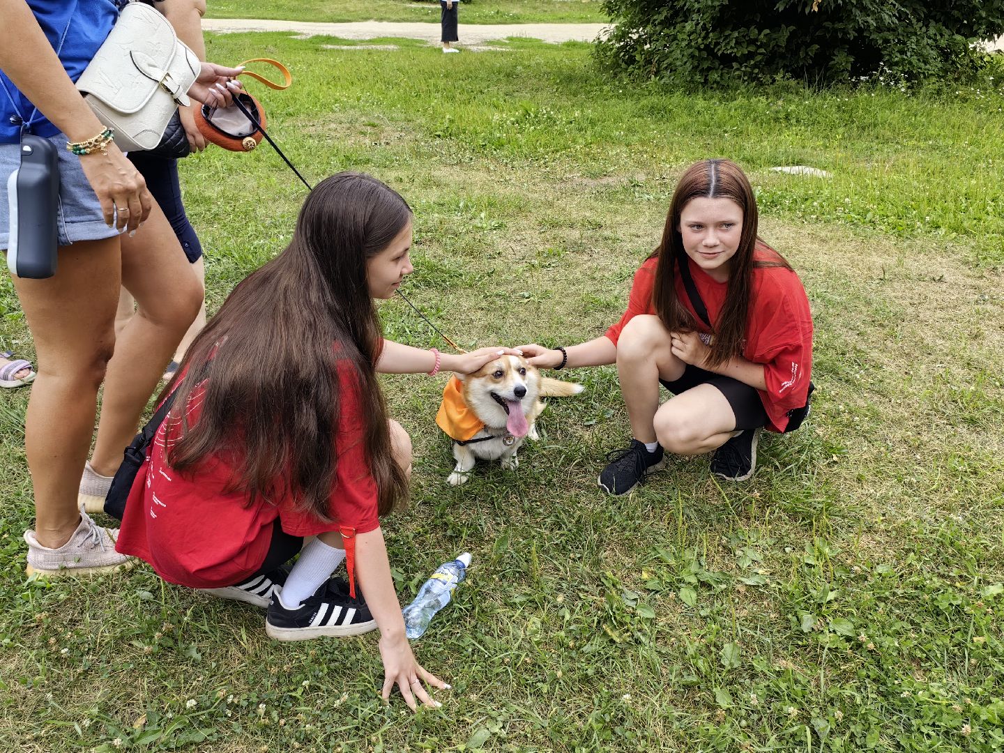 канистерапия, корги отряд, четвероногий друг, усадьба гребнево, фестиваль, щёлково,