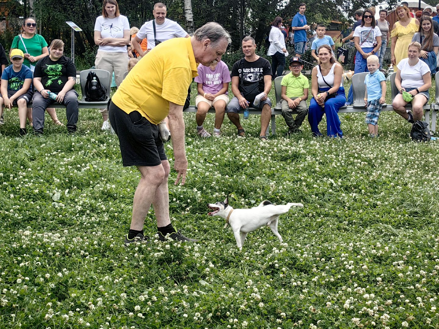 канистерапия, корги отряд, четвероногий друг, усадьба гребнево, фестиваль, щёлково,