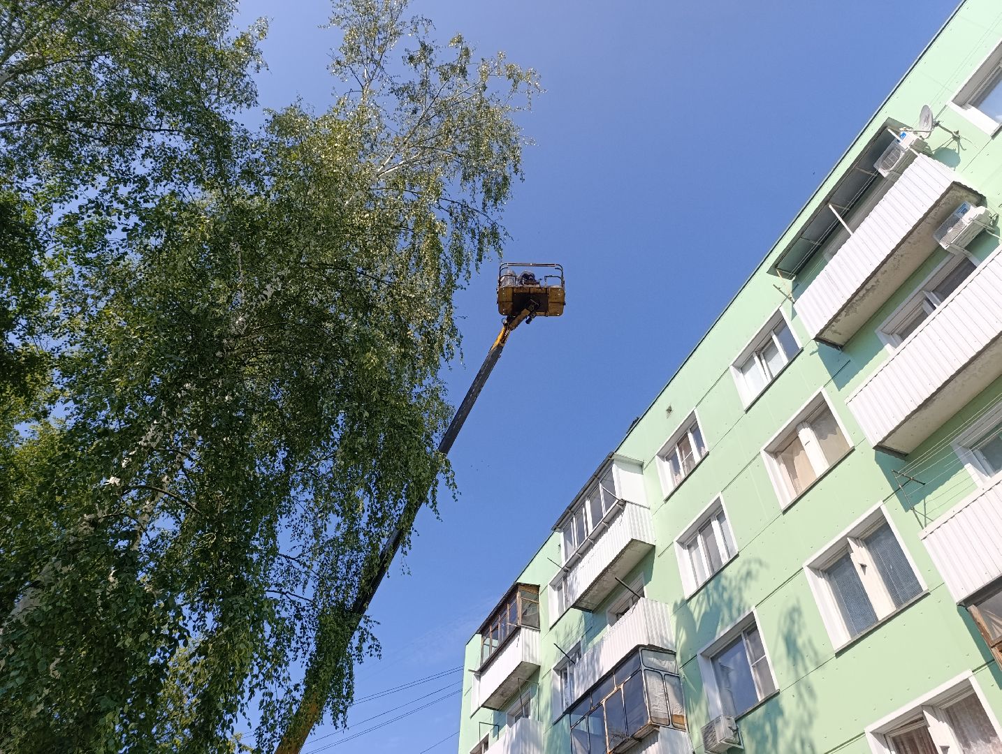 Бронницы, Благоустройство, Управляющая компания бронницкого городского хозяйства, Сетки от птиц, Подготовка к отопительному сезону,