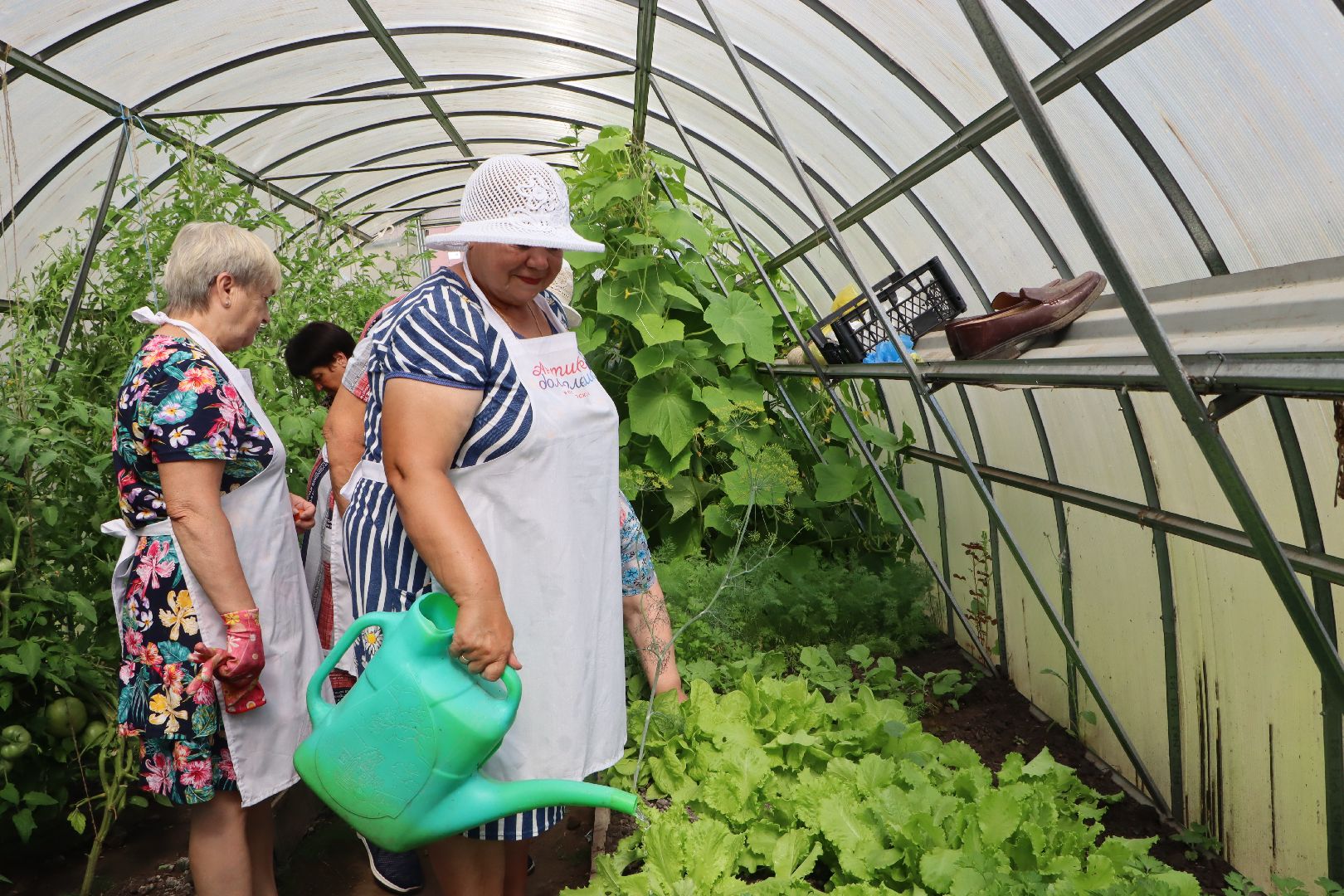 Серебряные Пруды, Активное долголетие, Общественный огород,