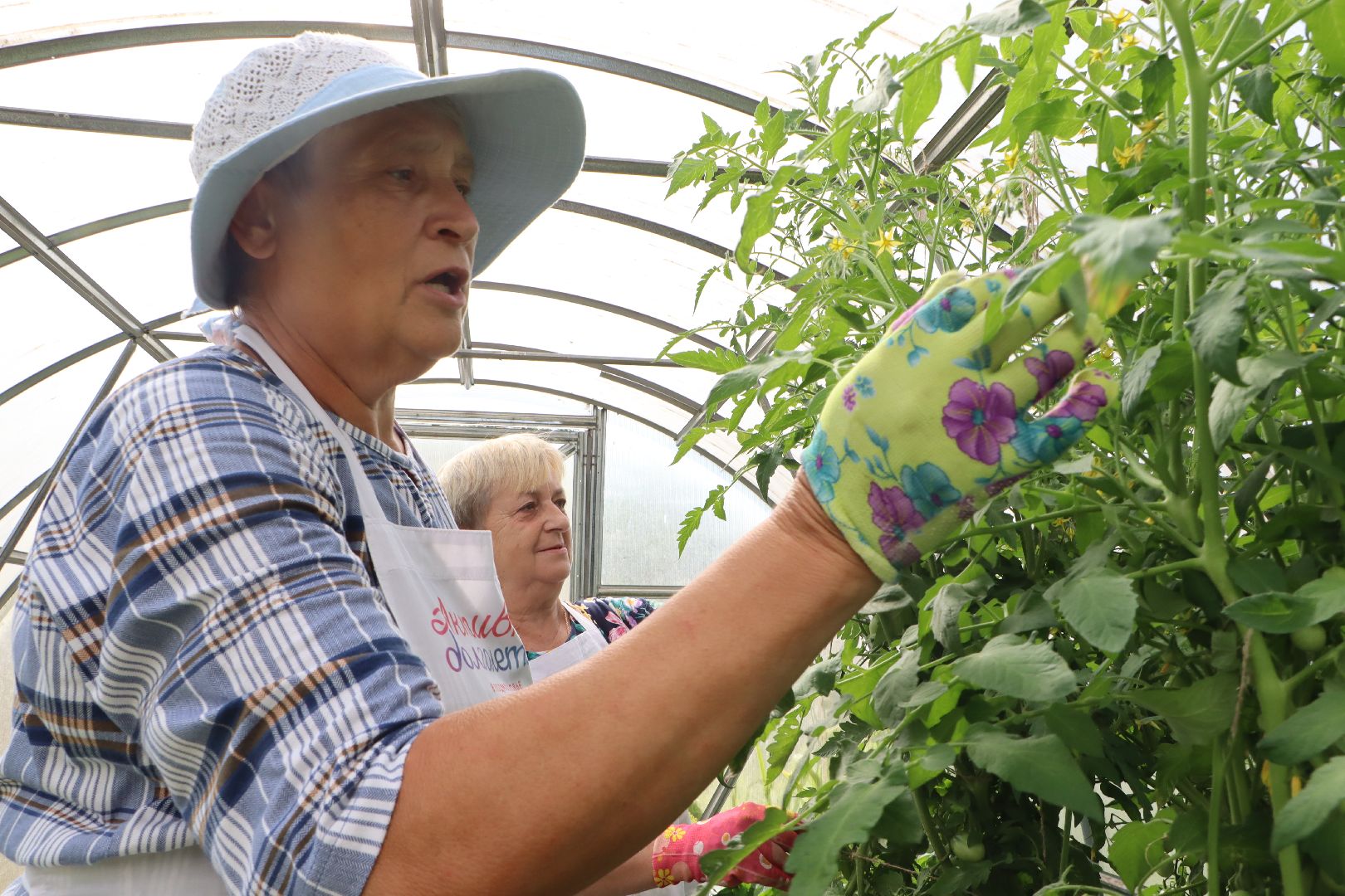 Серебряные Пруды, Активное долголетие, Общественный огород,