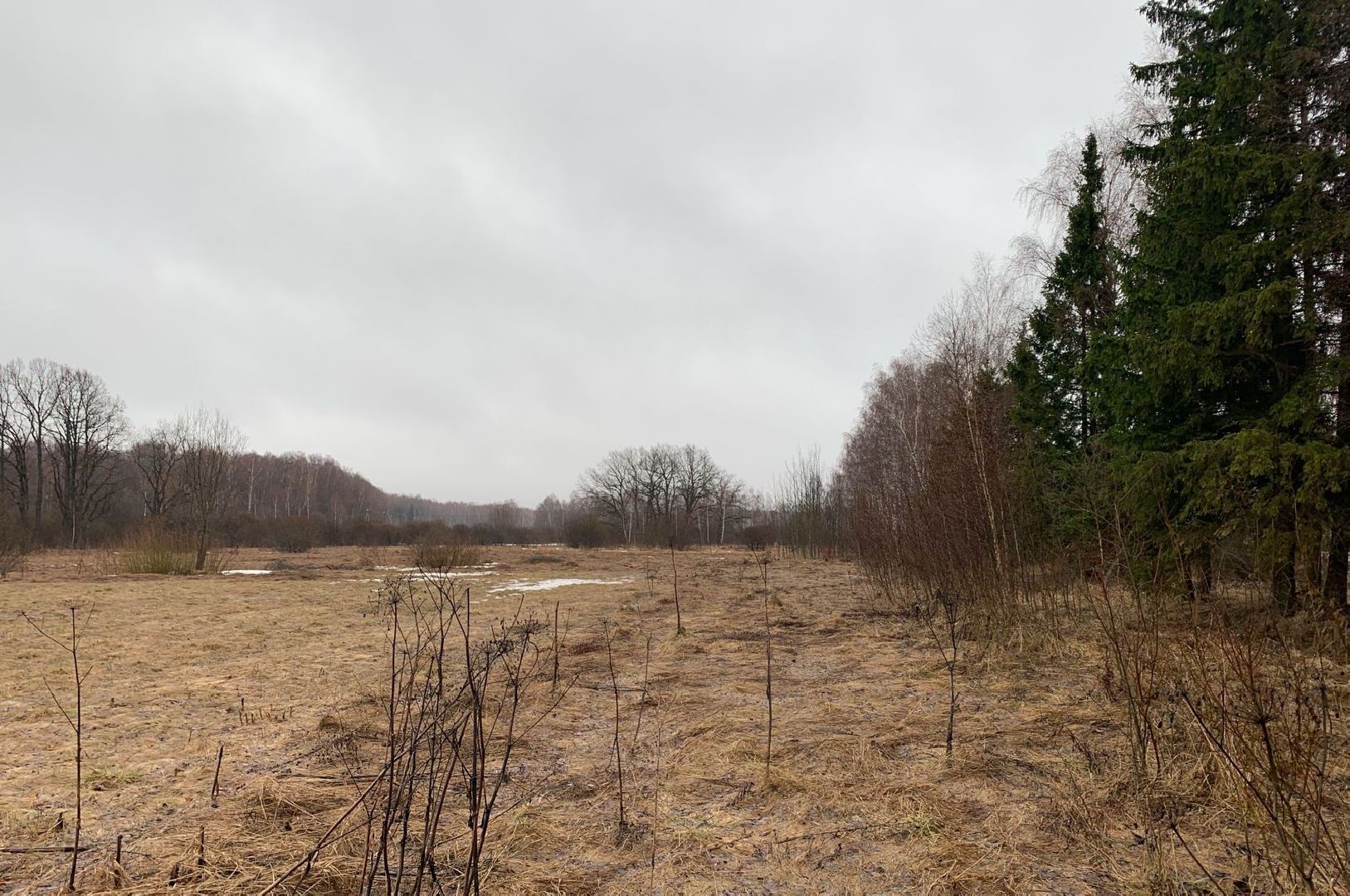 Многодетные семьи, земля, земельный участок, Наро-Фоминск, земля многодетным