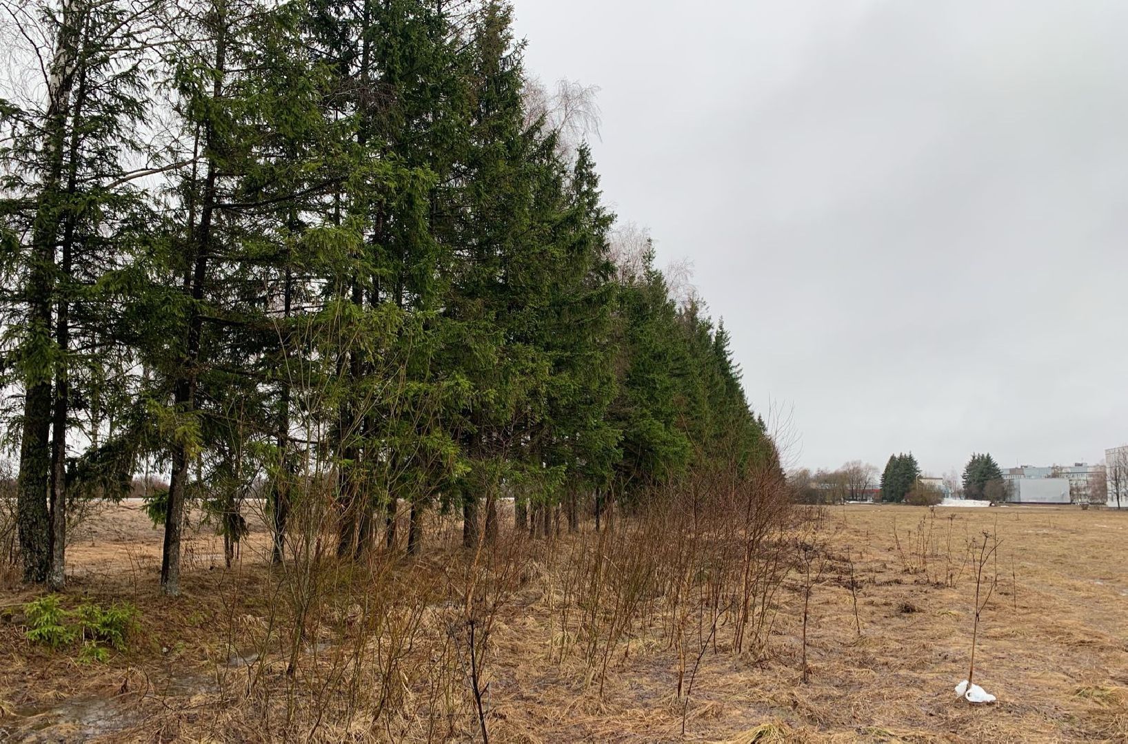 Многодетные семьи, земля, земельный участок, Наро-Фоминск, земля многодетным