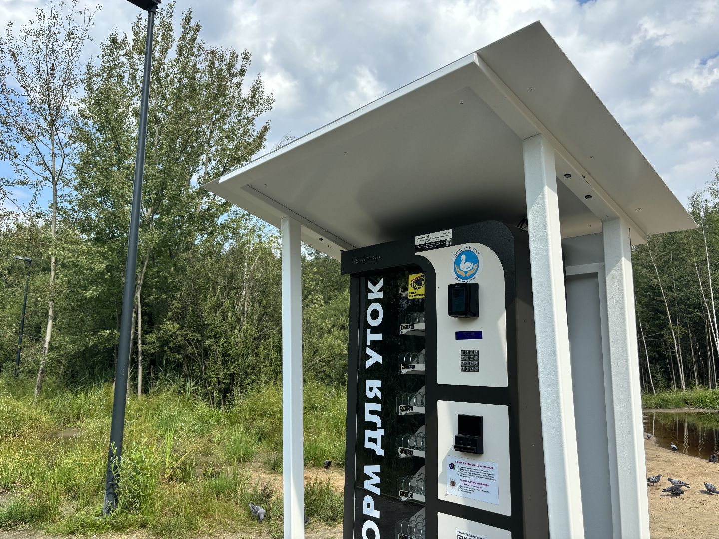 ольгинский лесопарк, корм для уток,