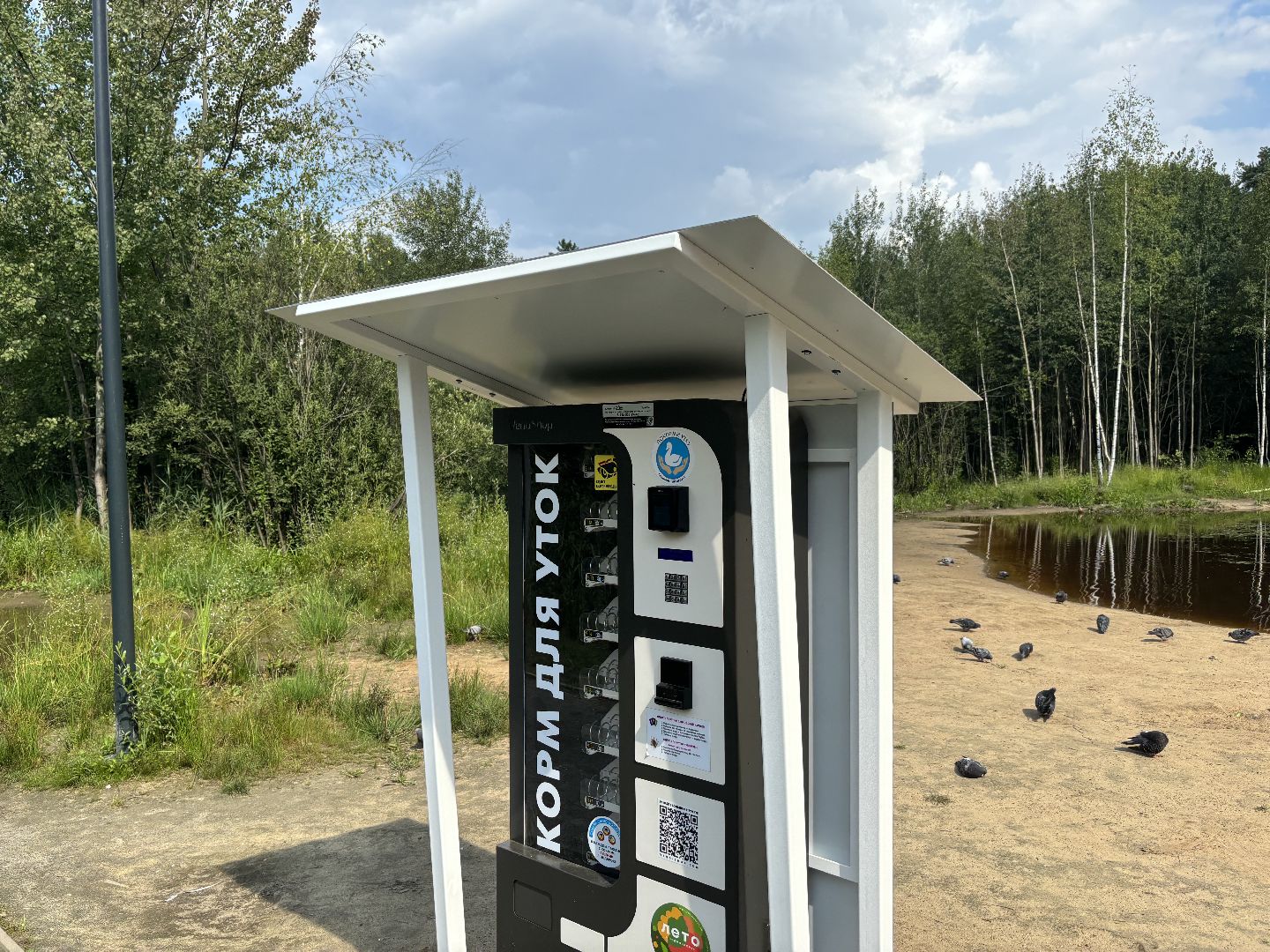 ольгинский лесопарк, корм для уток,