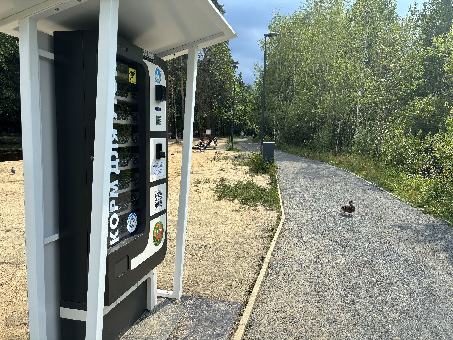 ольгинский лесопарк, корм для уток,