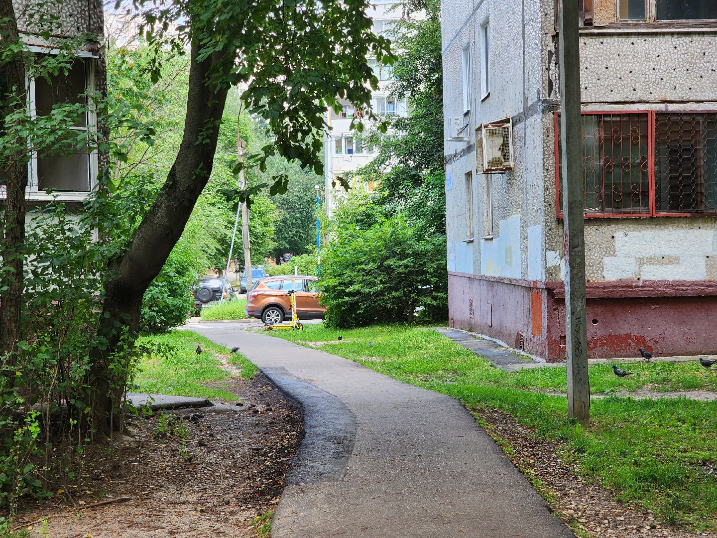 королёв,
