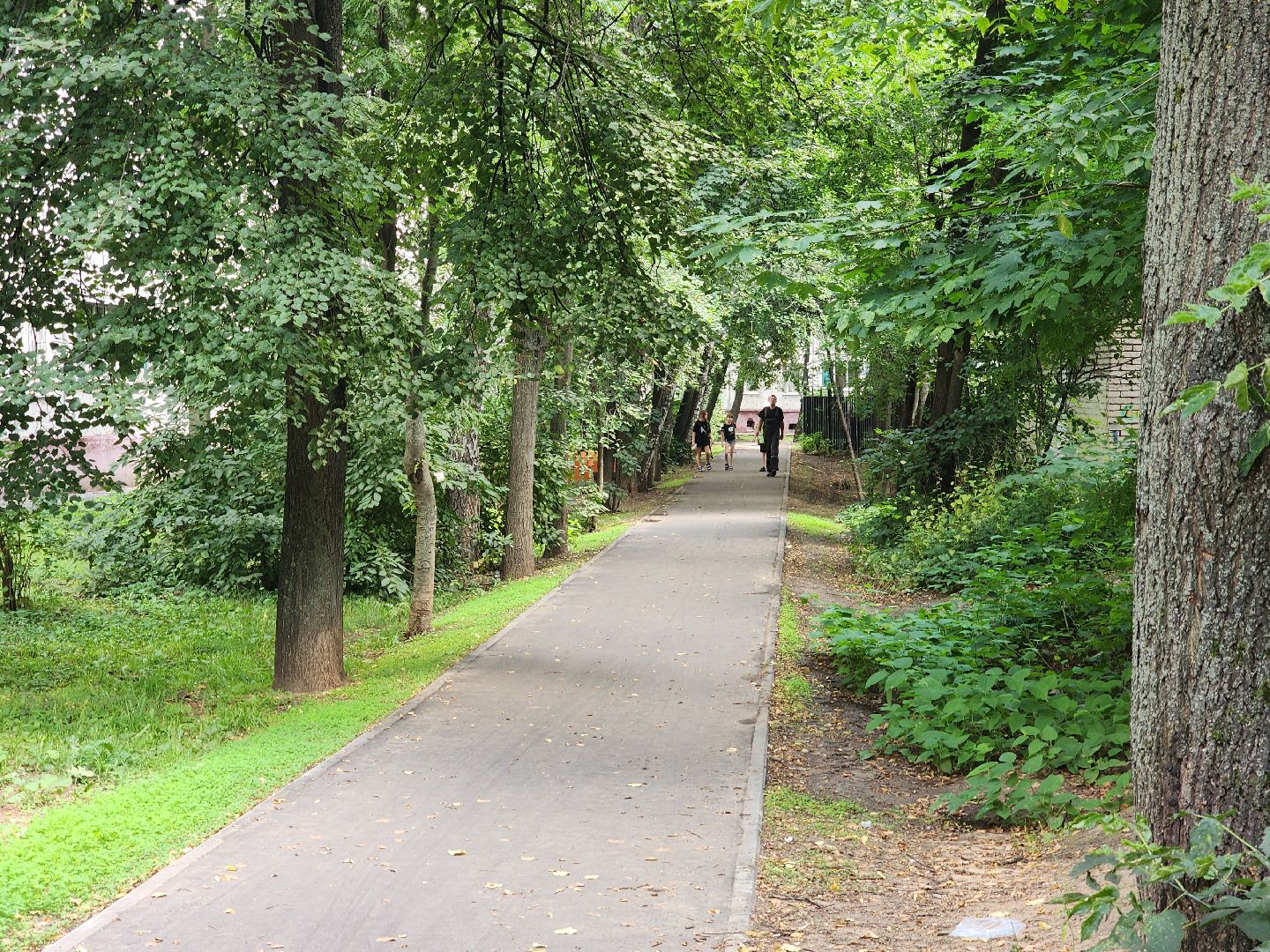 королёв,