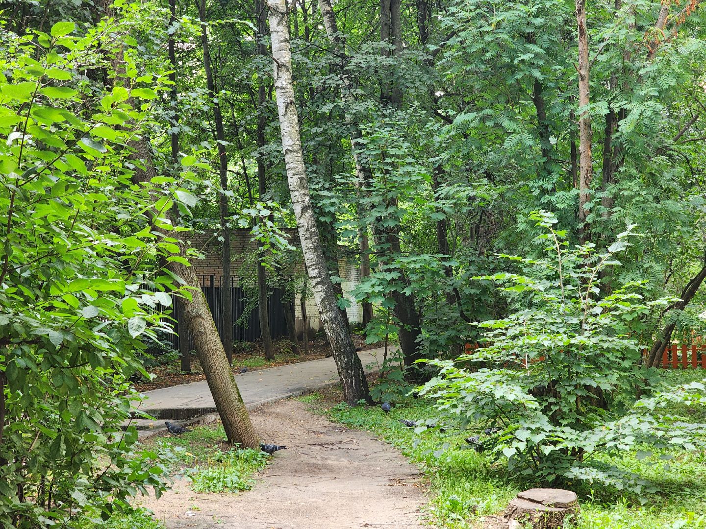 королёв,