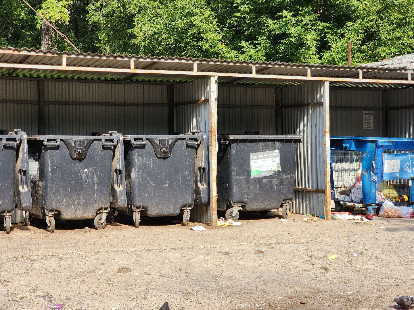 воскресенск, контейнерная площадка, жкх,