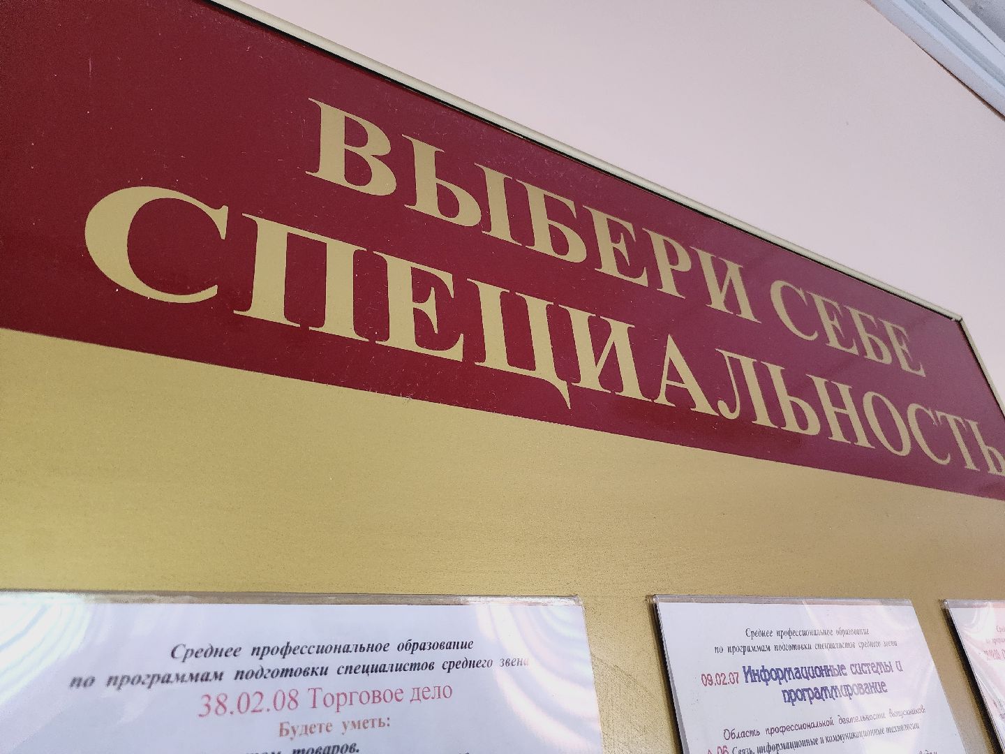 Егорьевск, Подмосковье, Московская область,Профессионалитет,