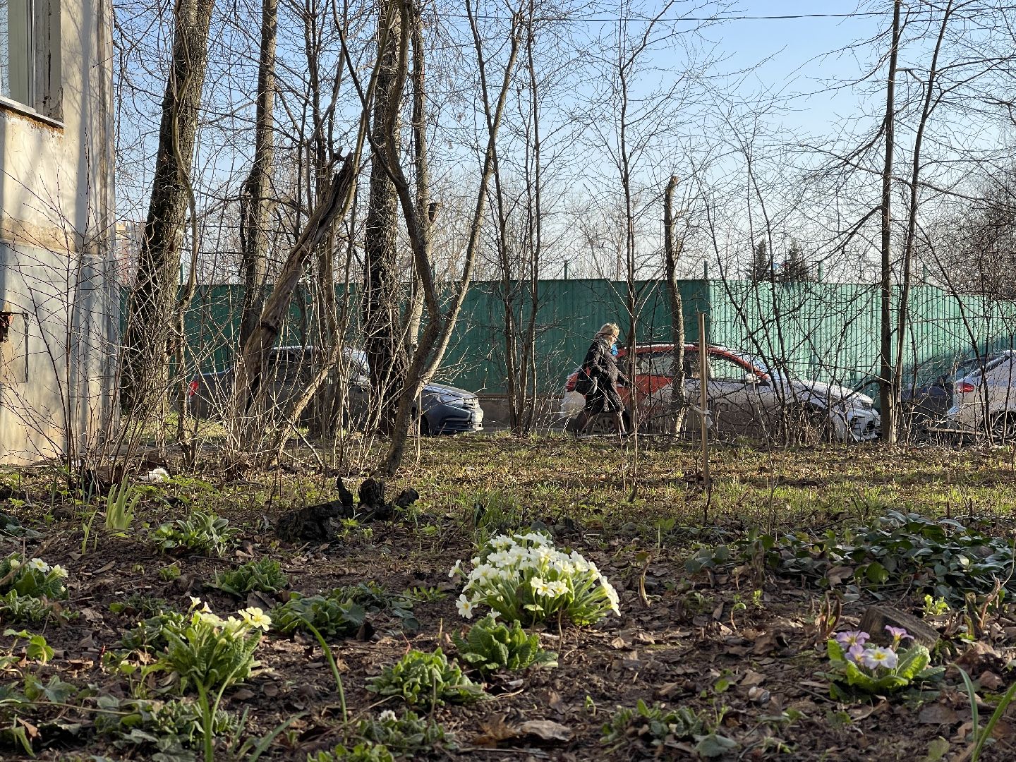 Весна, Одинцово, цветы, благоустройство, соседи, двор,