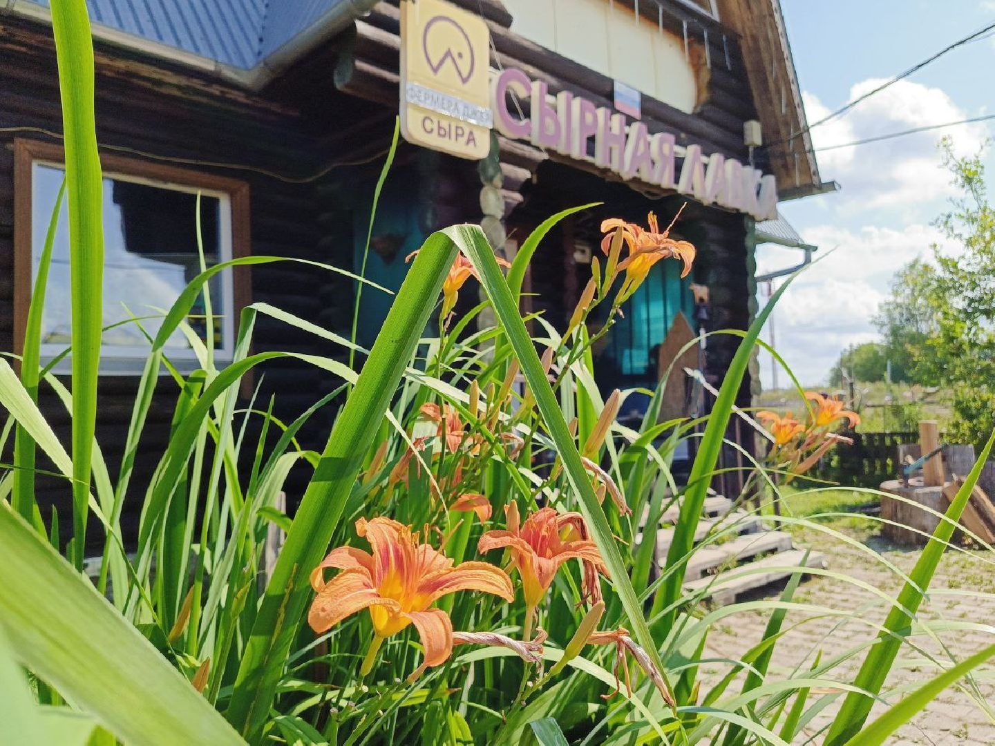 Солнечногорск, Сыроварня, Джей Клоуз, сыр, жители,