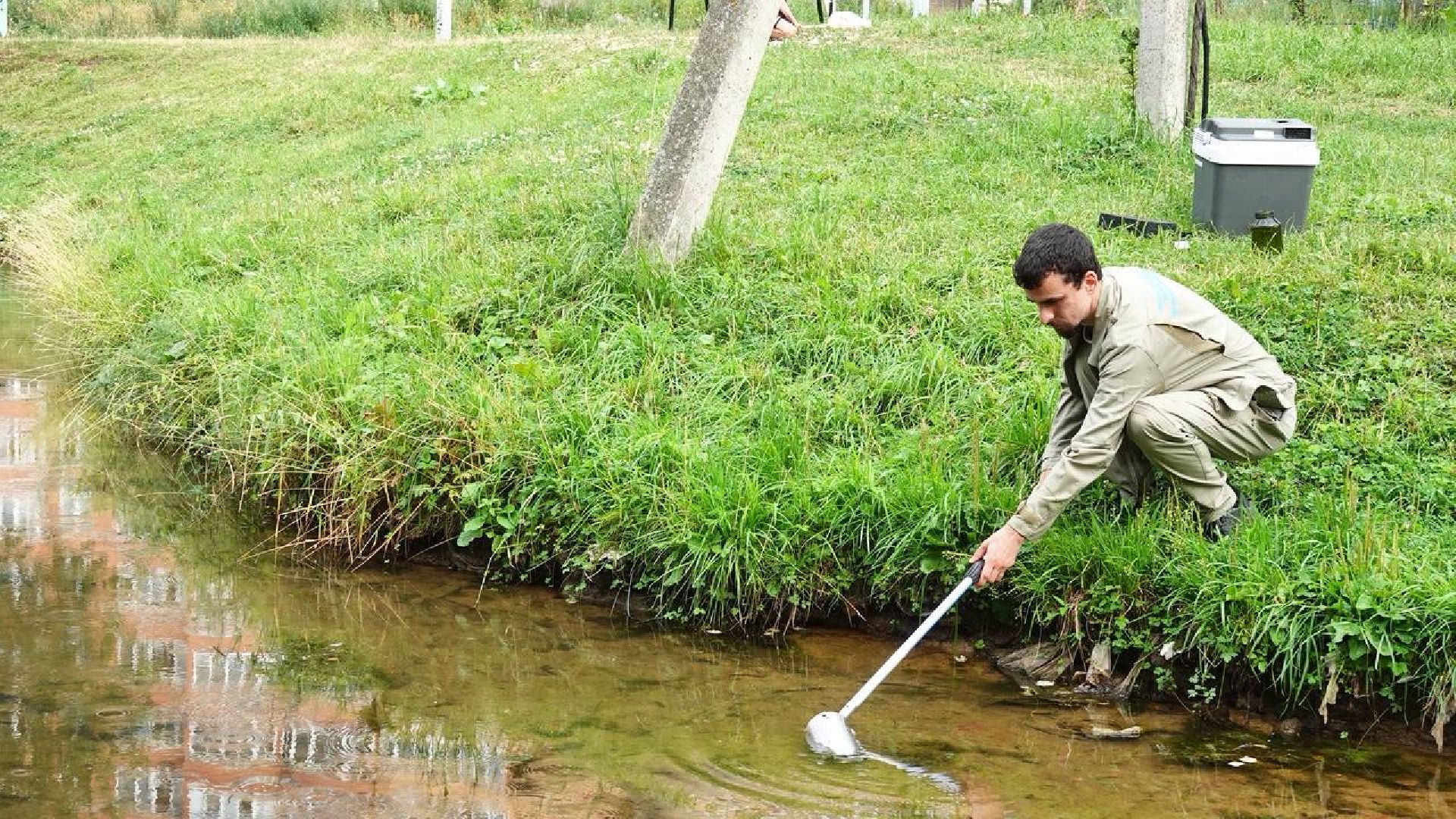 Экология, Министерство экологии МО,Утки, Сергиев Посад, Ветеринарная служба,