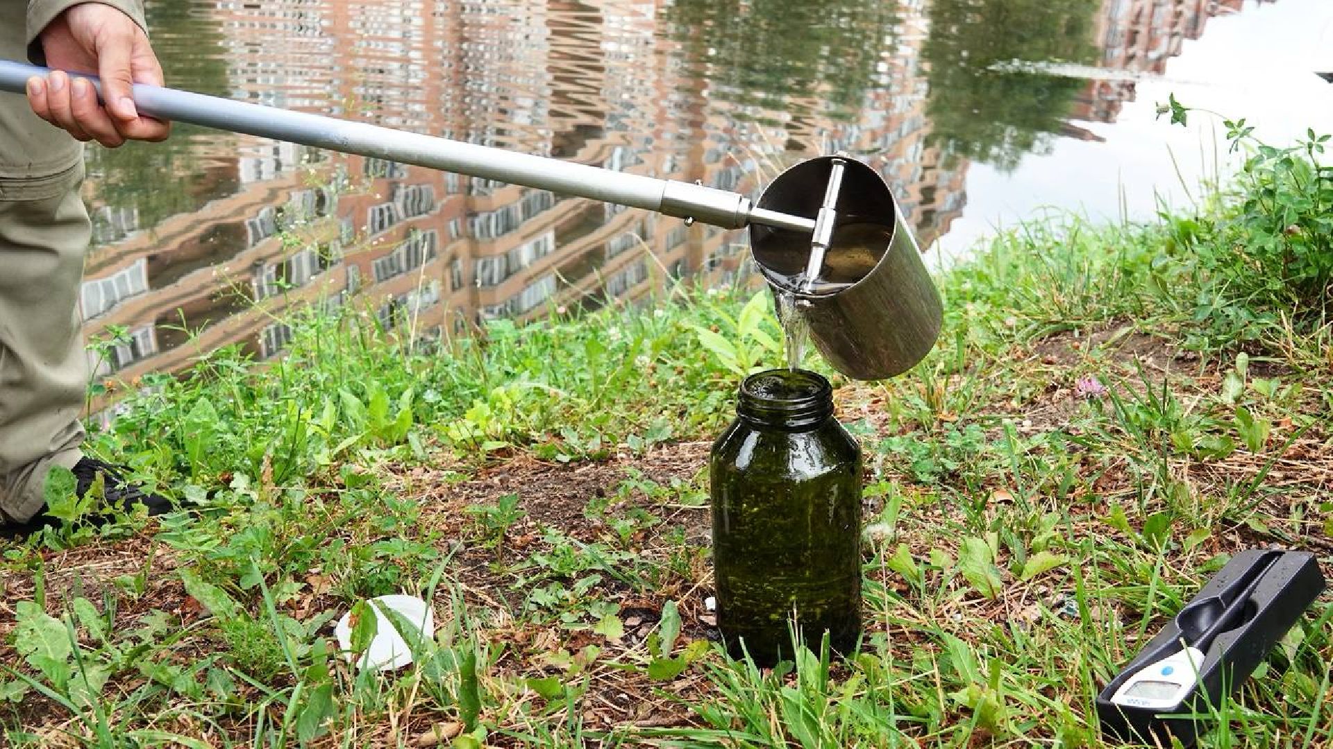 Экология, Министерство экологии МО,Утки, Сергиев Посад, Ветеринарная служба,