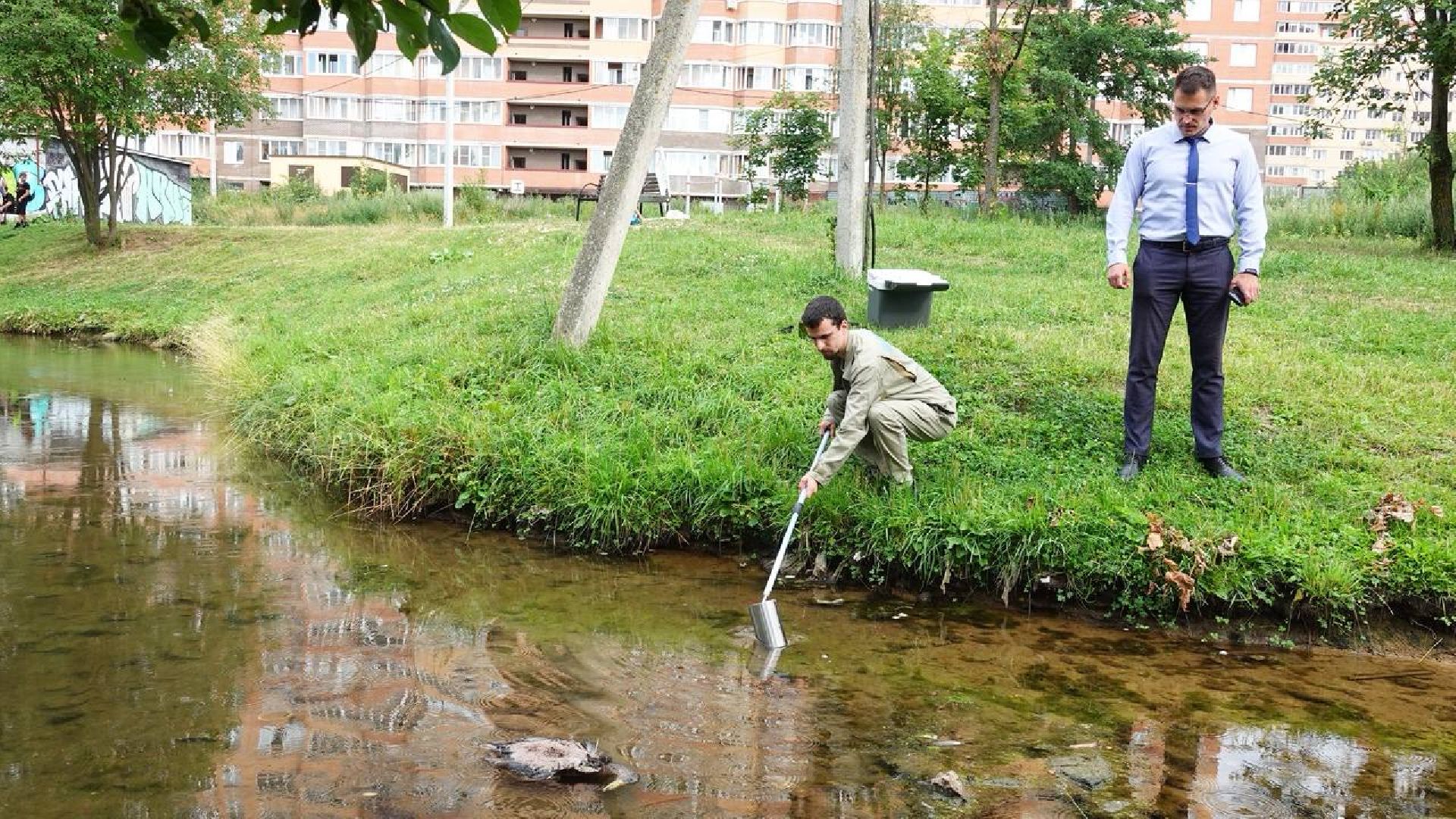 Экология, Министерство экологии МО,Утки, Сергиев Посад, Ветеринарная служба,