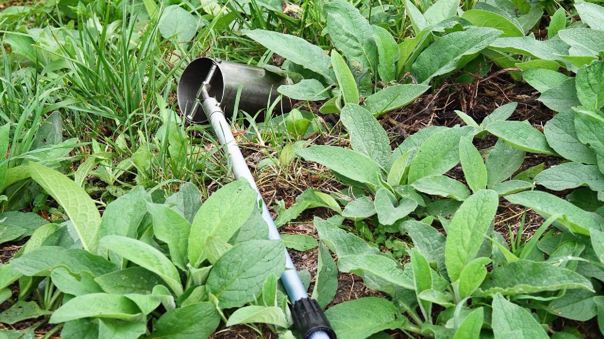 Экология, Министерство экологии МО,Утки, Сергиев Посад, Ветеринарная служба,
