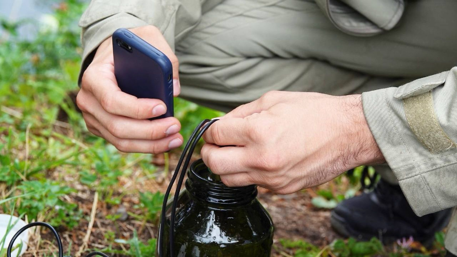 Экология, Министерство экологии МО,Утки, Сергиев Посад, Ветеринарная служба,
