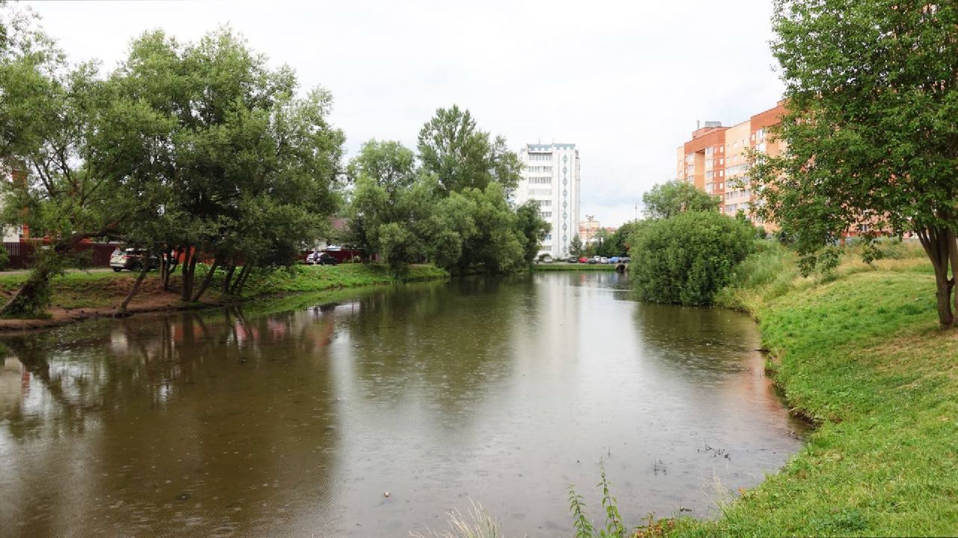 Экология, Министерство экологии МО,Утки, Сергиев Посад, Ветеринарная служба,