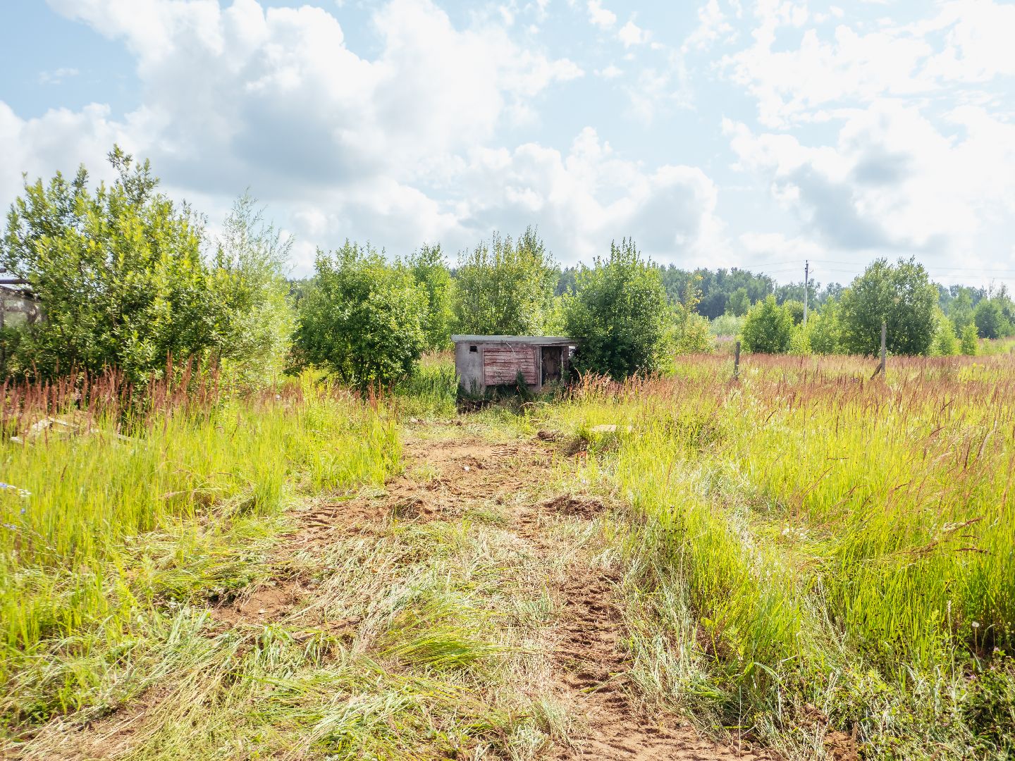 снос, подмосквье, истра, благоустройство,
