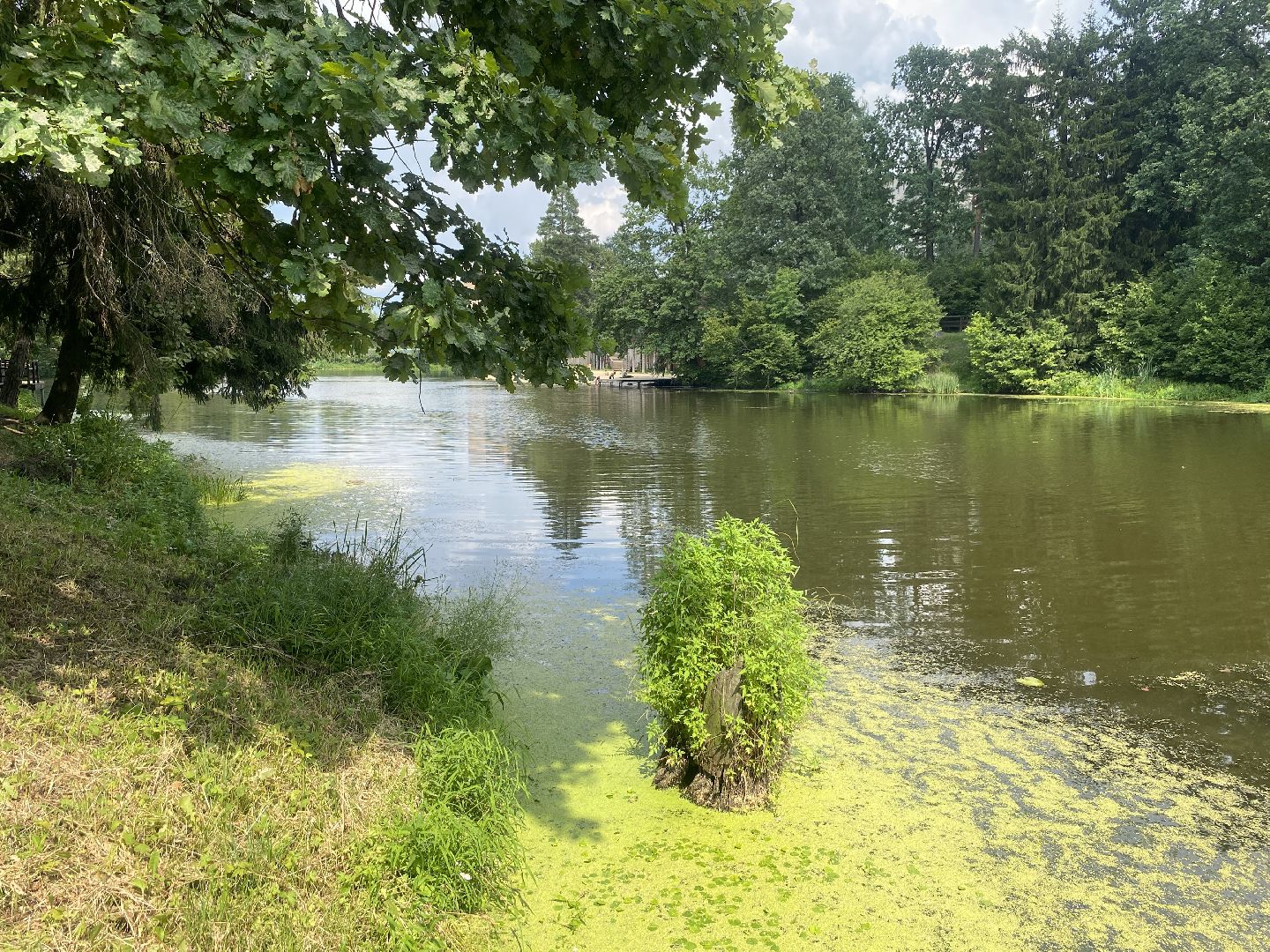 безопасность на воде, озера Власихи, пляж во власихе, зона отдыха Власиха, дети на воде,