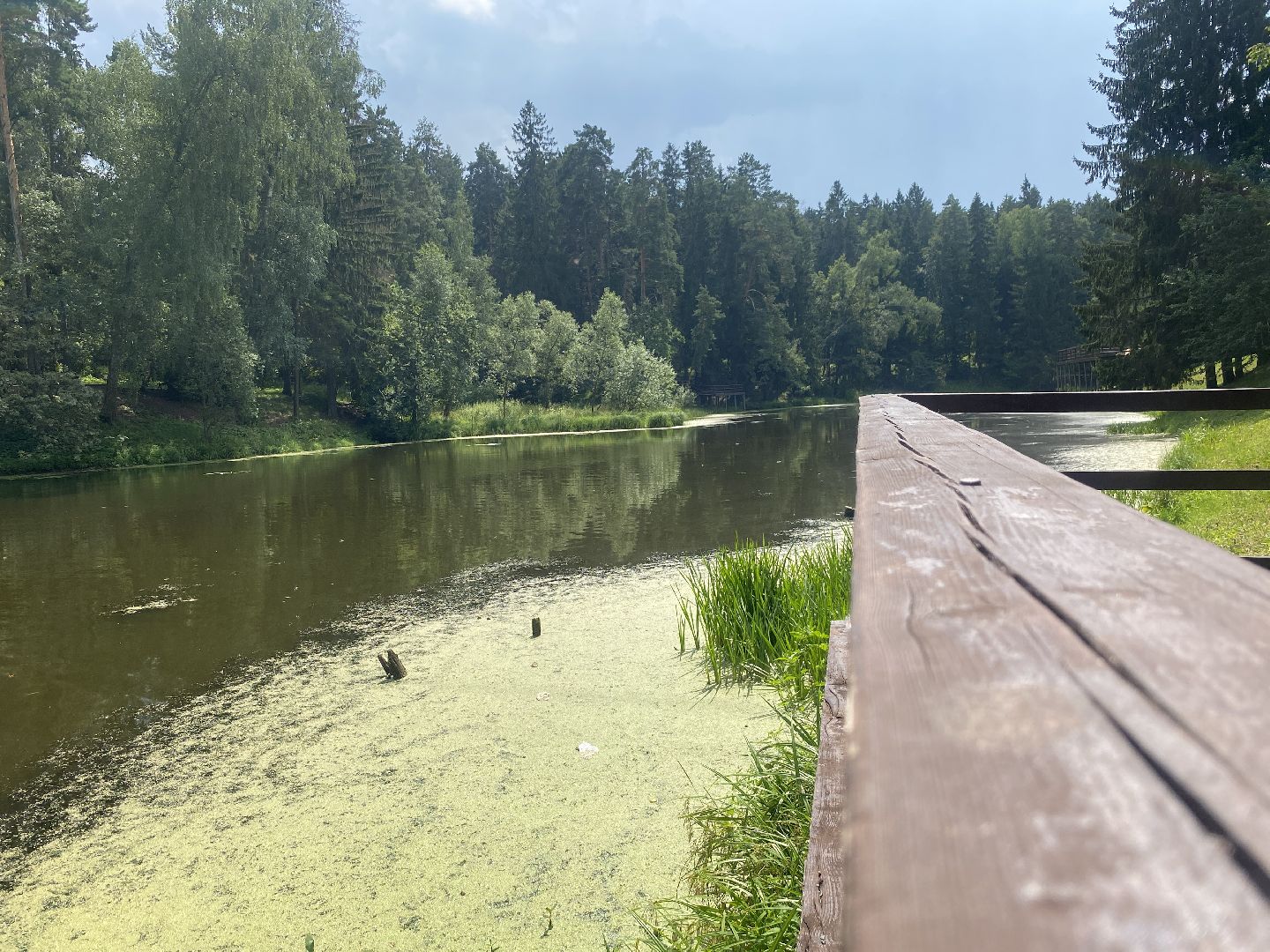 безопасность на воде, озера Власихи, пляж во власихе, зона отдыха Власиха, дети на воде,