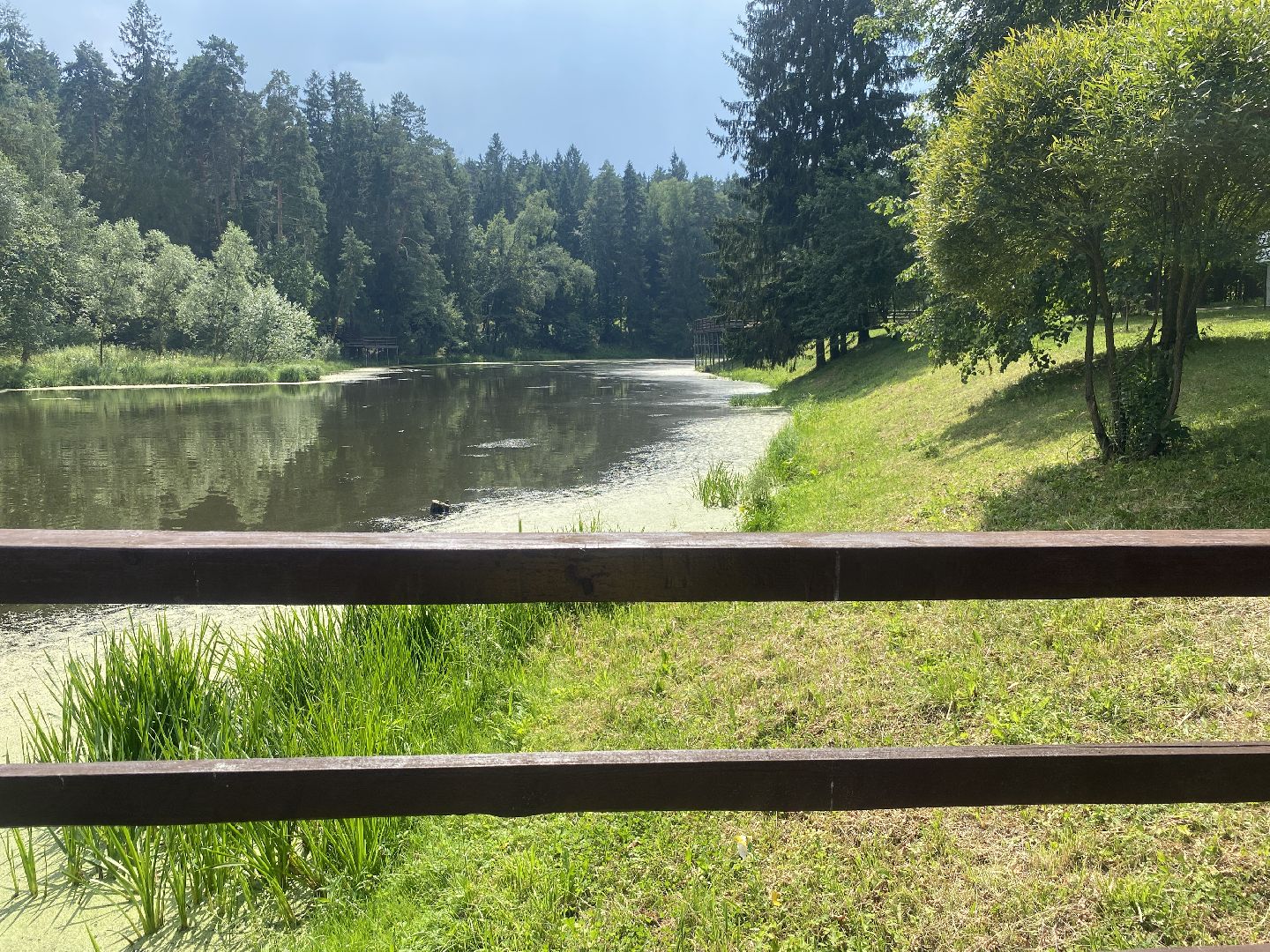 безопасность на воде, озера Власихи, пляж во власихе, зона отдыха Власиха, дети на воде,