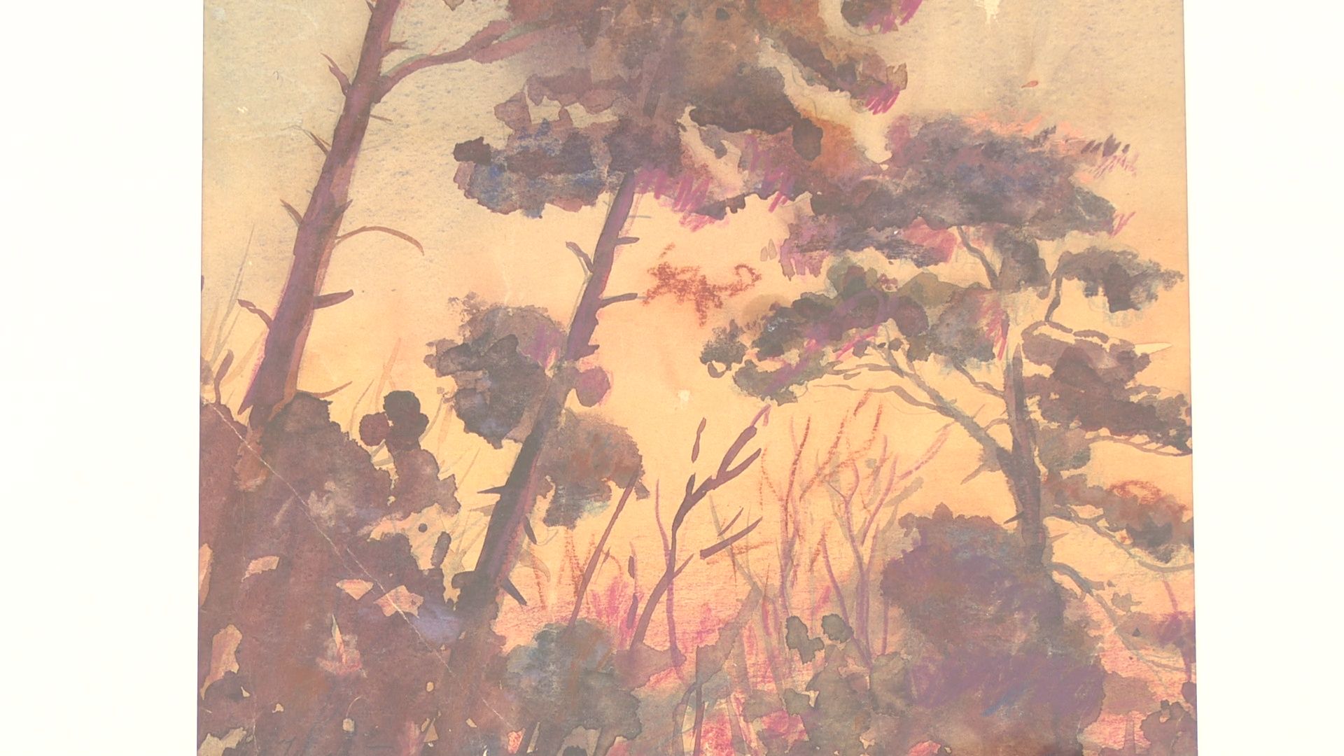 Реутов, выставка, музей, акварель, картиры, Петр Кучерь,