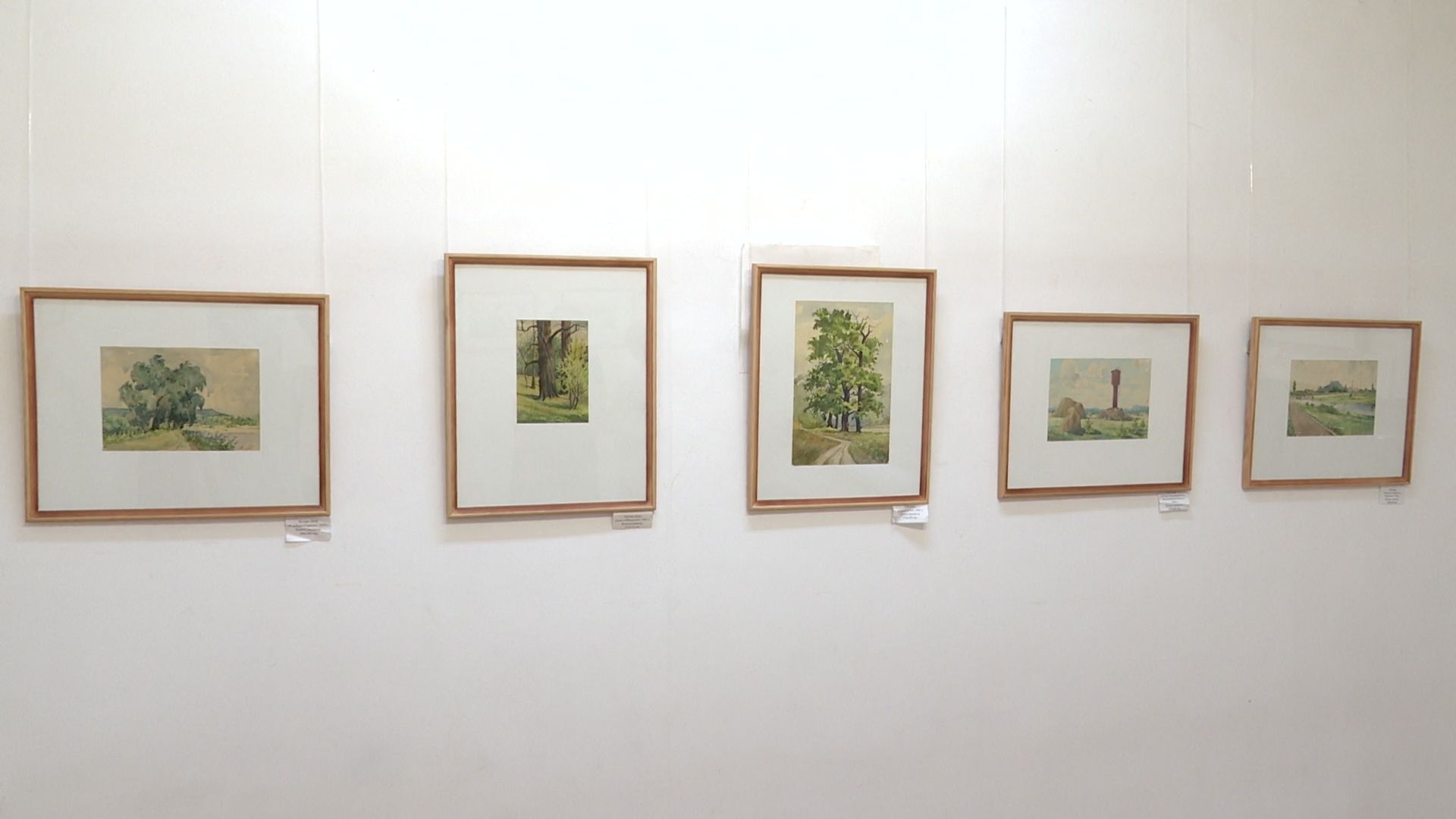 Реутов, выставка, музей, акварель, картиры, Петр Кучерь,