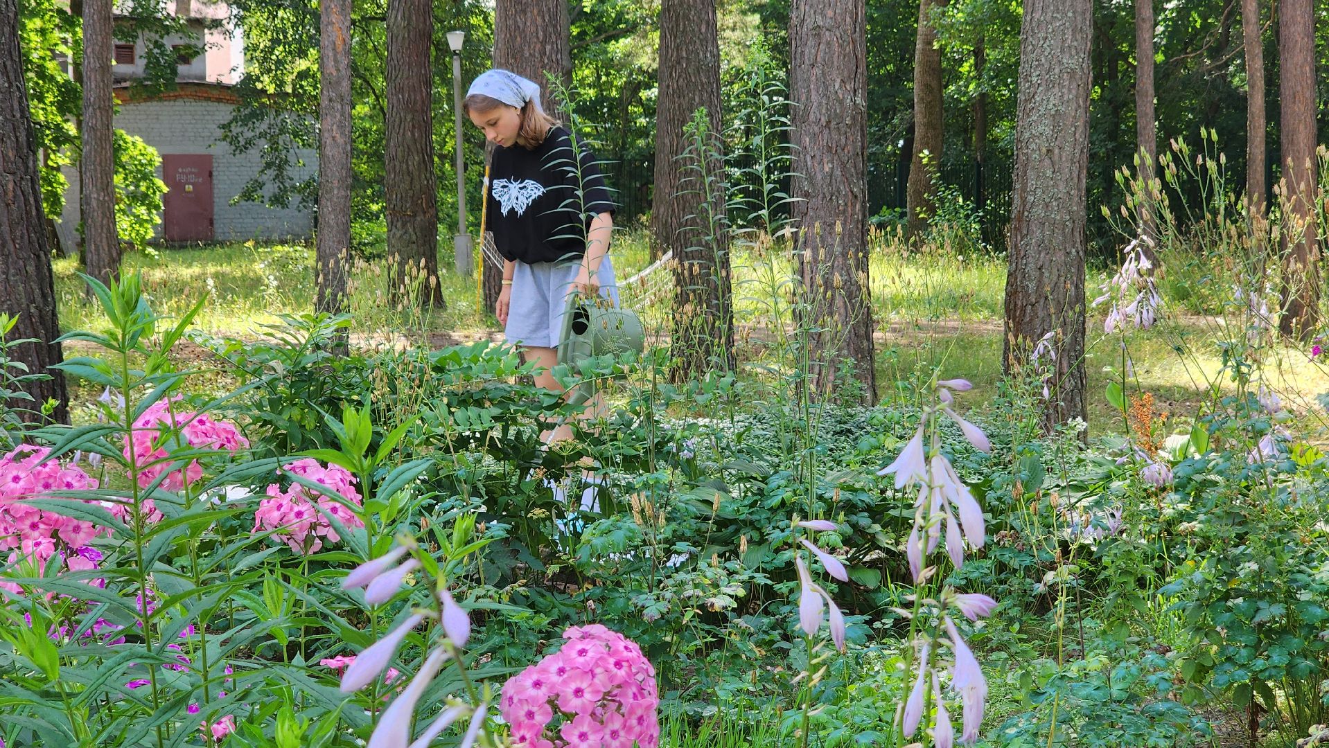 протвино, реабилитационный центр, подростки, трудовое лето, благоустройство,