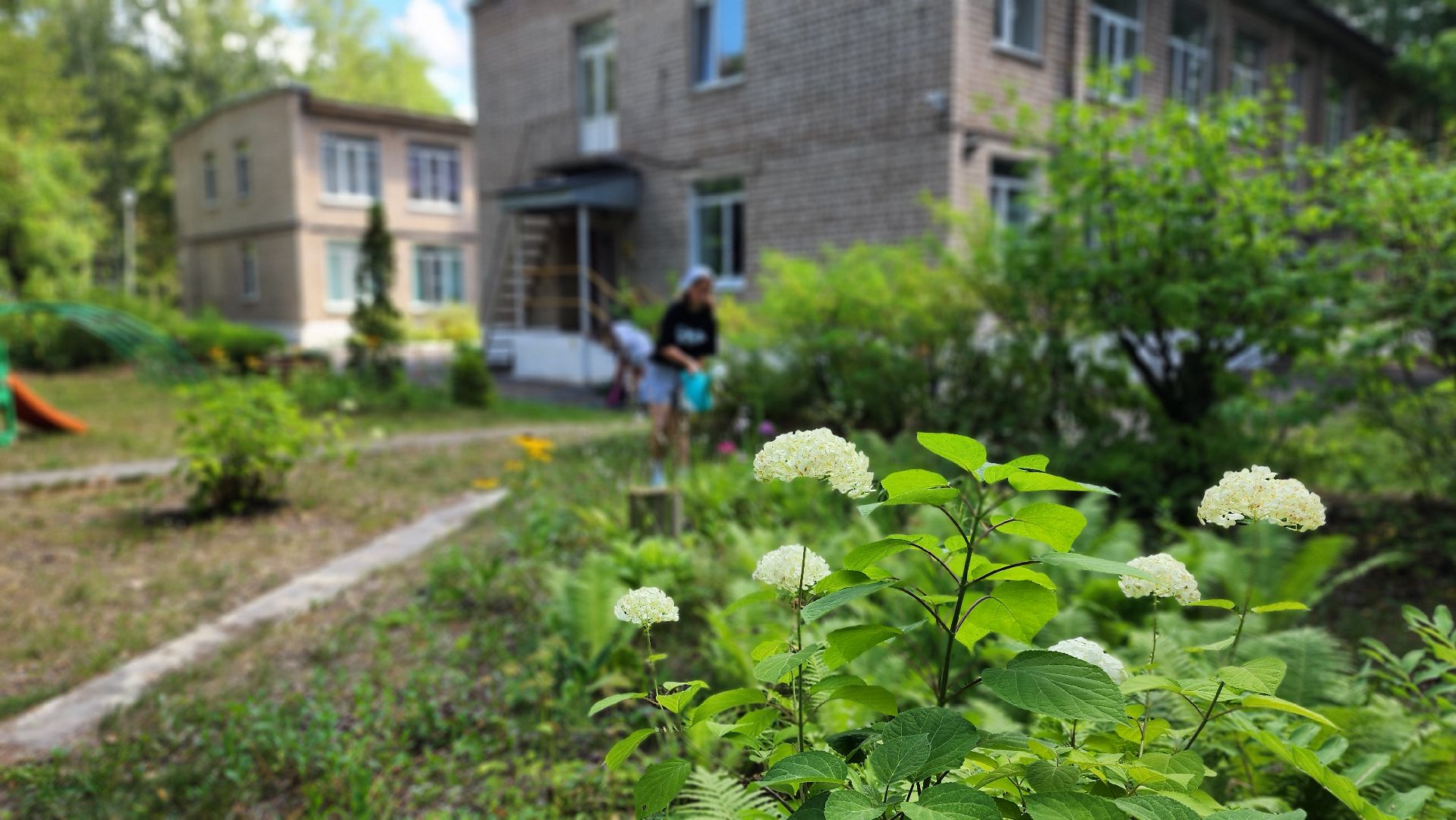 протвино, реабилитационный центр, подростки, трудовое лето, благоустройство,